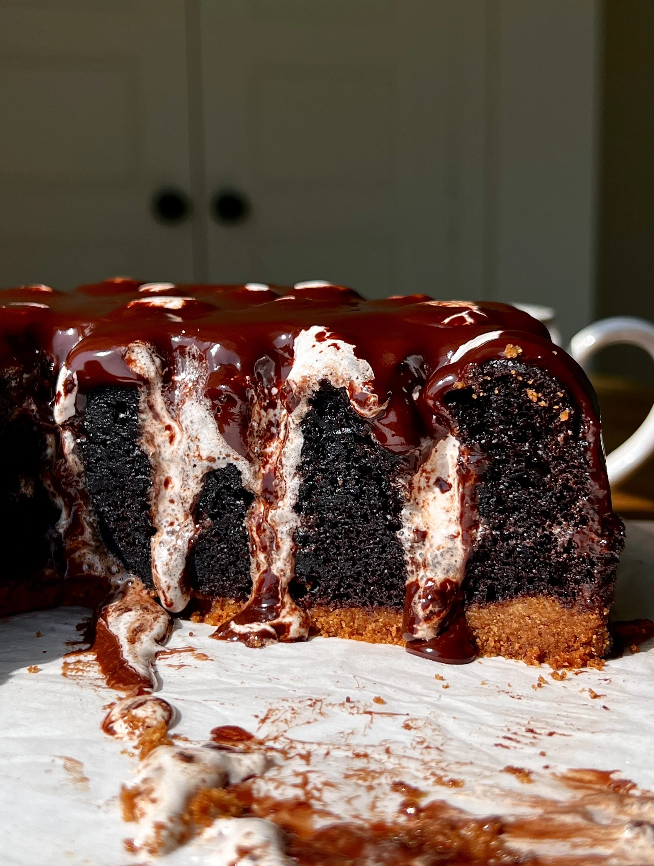 Close-up of a s'mores chocolate mud cake showing the rich and decadent soft and moist chocolate cake with marshmallow fluff piped throughout and a velvety chocolate ganache layer on top.