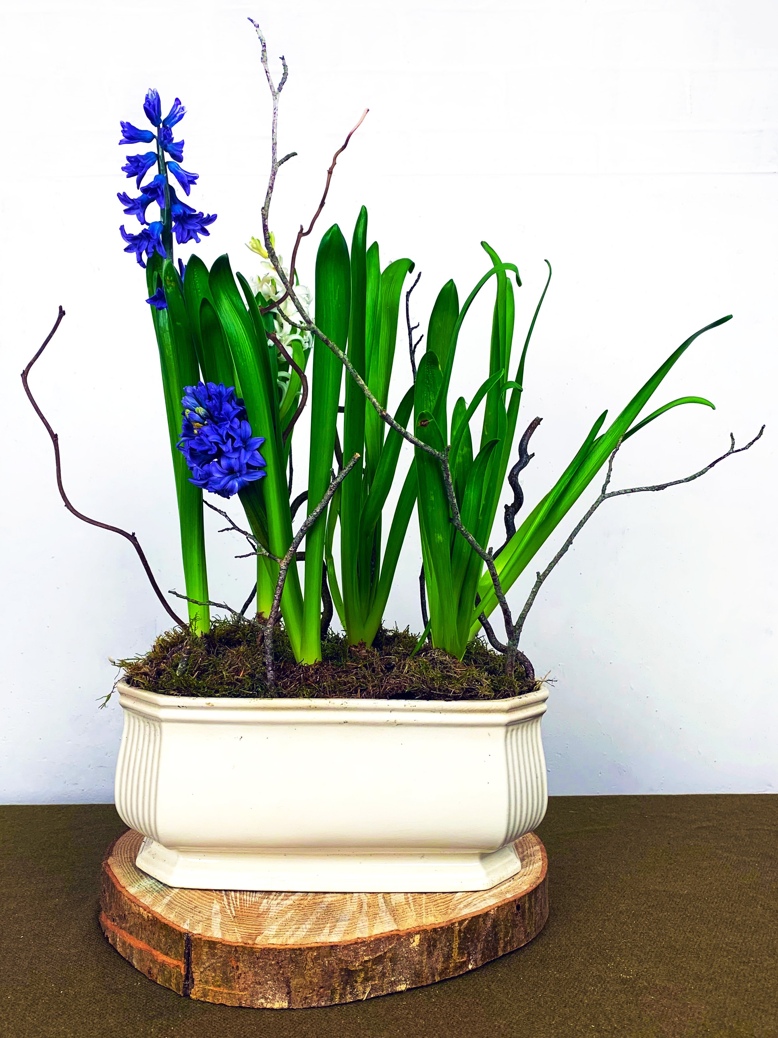 Spring bulbs.jpg