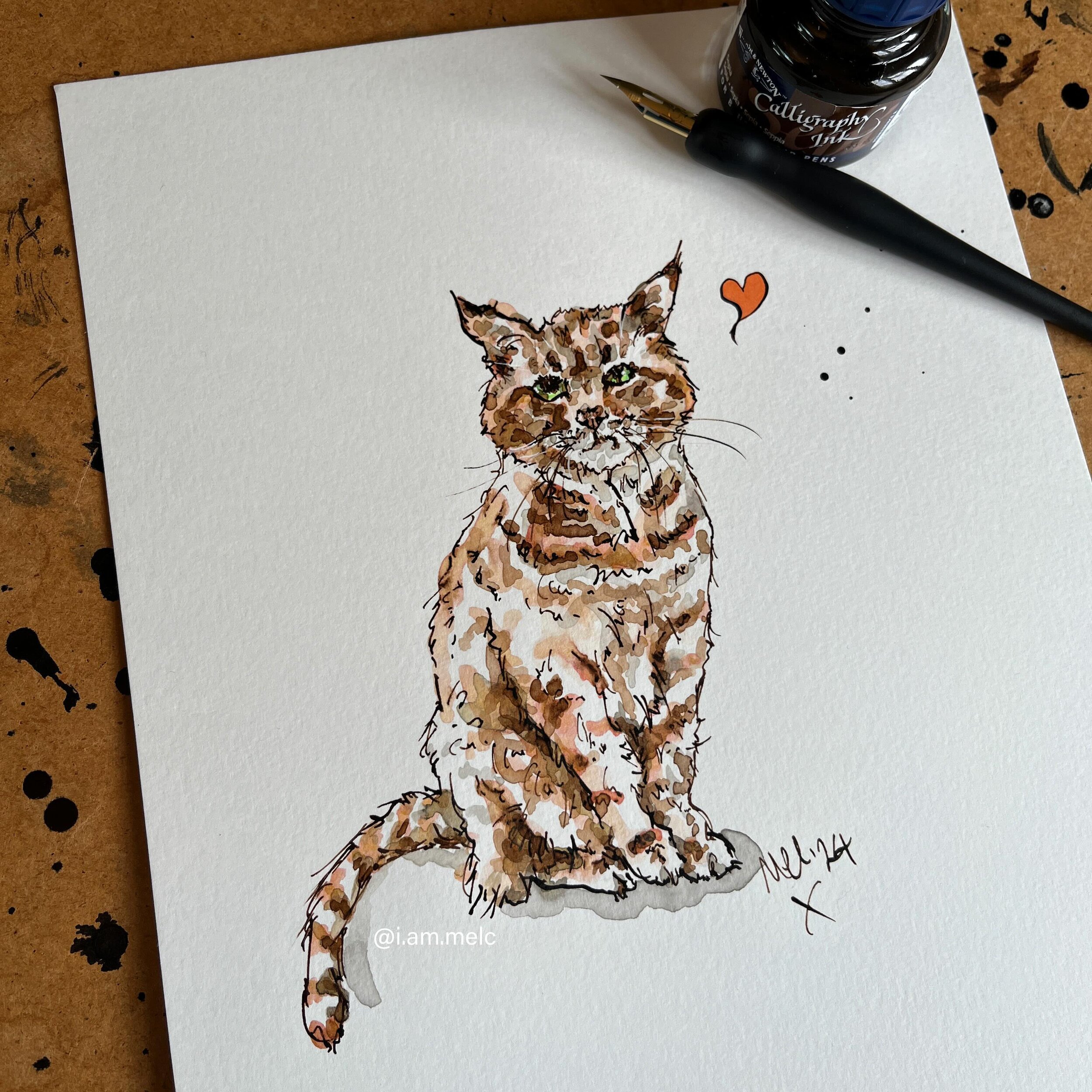 TGIF 🧡 #petportrait #gingercat #inkandwash #illustration #cat #artist #art #dailyart