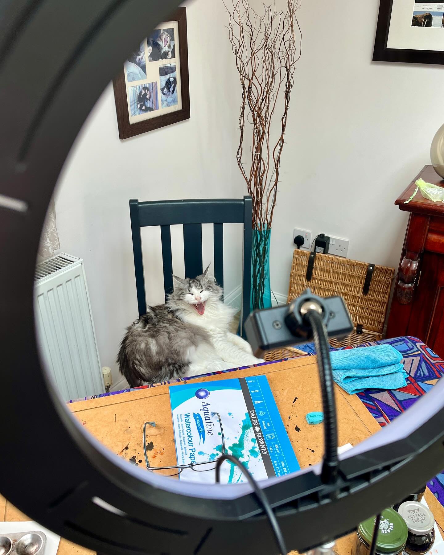 Just trying to finish off a few things for Saturday&rsquo;s @sallyartistsmakers event. Someone is getting in the way 😹 Will I see you there? 
#catsandquotes #artist #artforsale #thame #artdemonstration #sketchbook #artoftheday