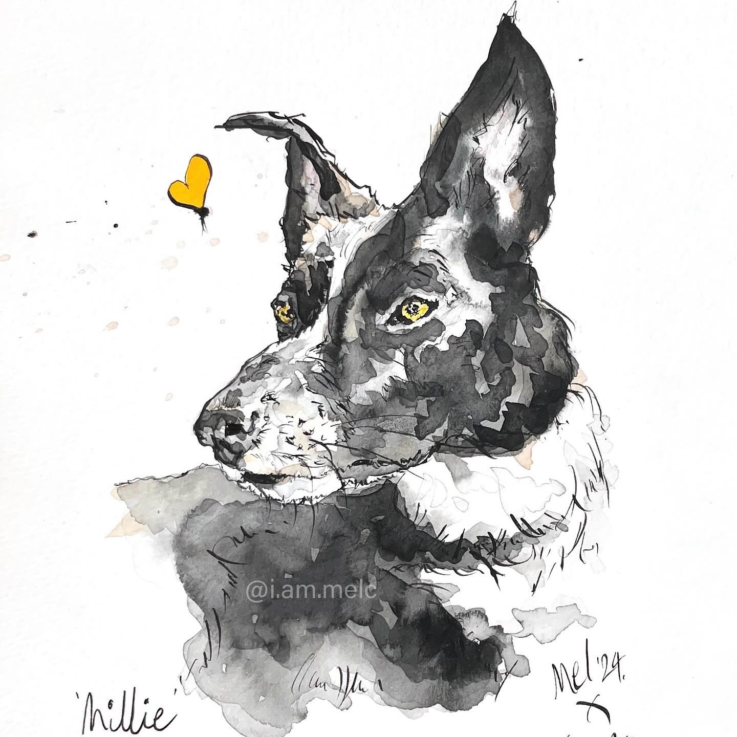 Millie. Collected yesterday. The kindest gift, don&rsquo;t you think? 🖋️🐾&hearts;️
&bull;
&bull;
#petportrait #illustration #giftideas #dogart #artist #dailyart #inkandwash #art #petart #doglovers