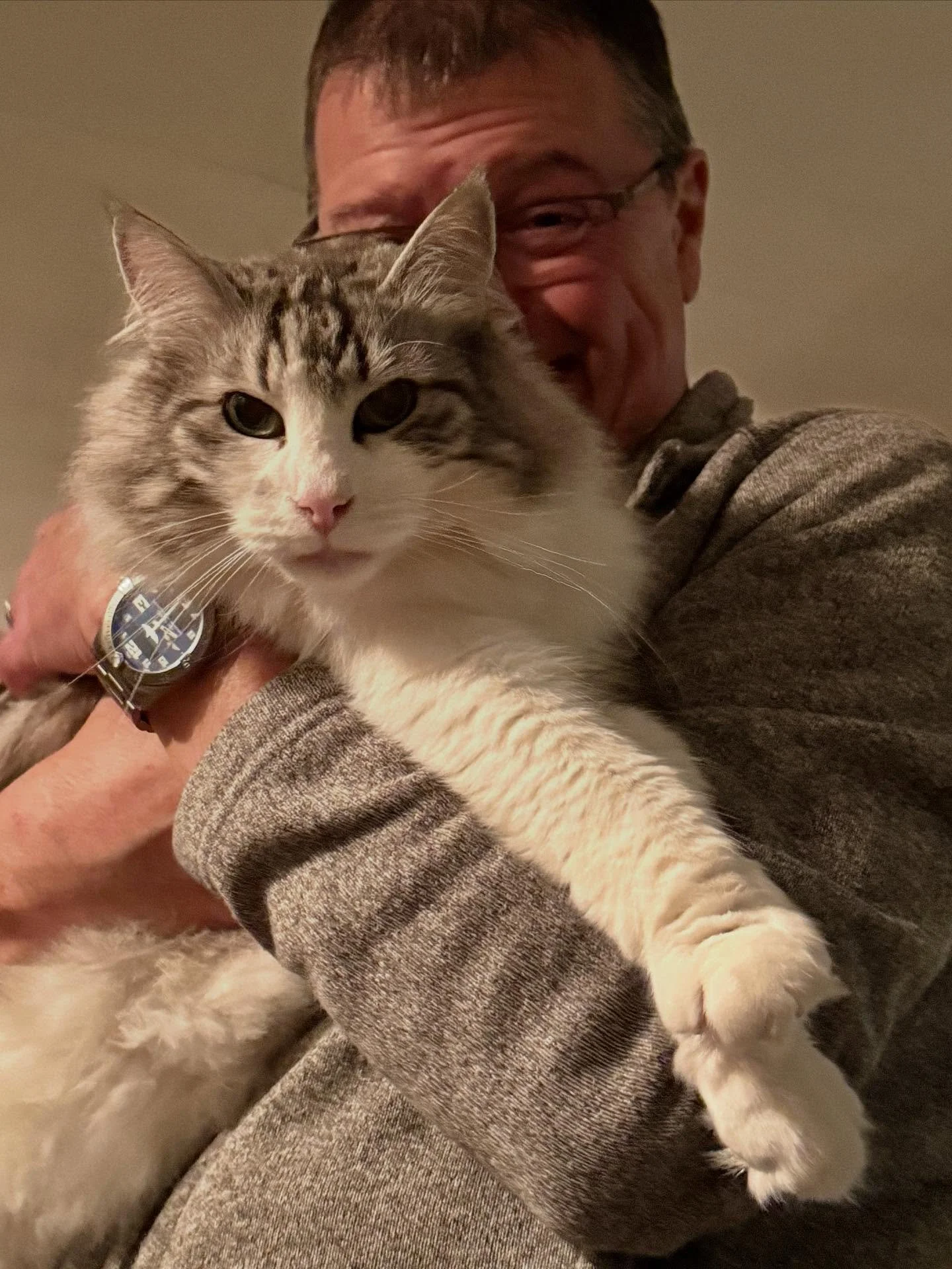Extra post. Couldn&rsquo;t resist. #norwegianforerestcat #myboyz #floofalert