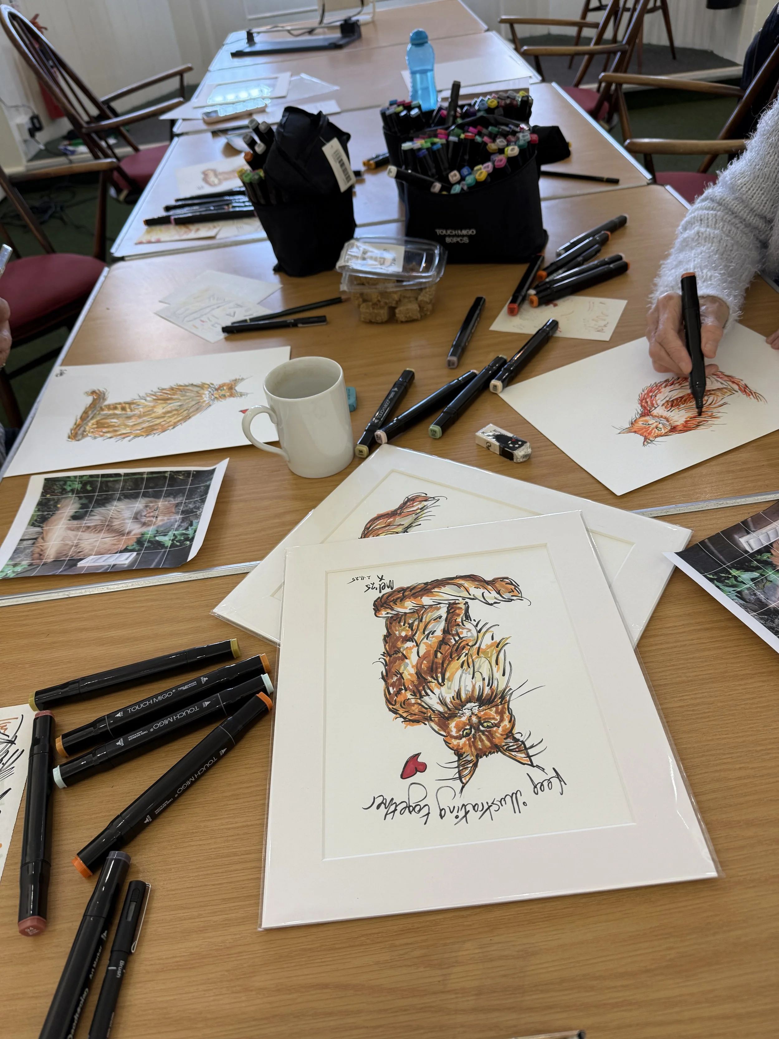 Draw A Cat Workshop 