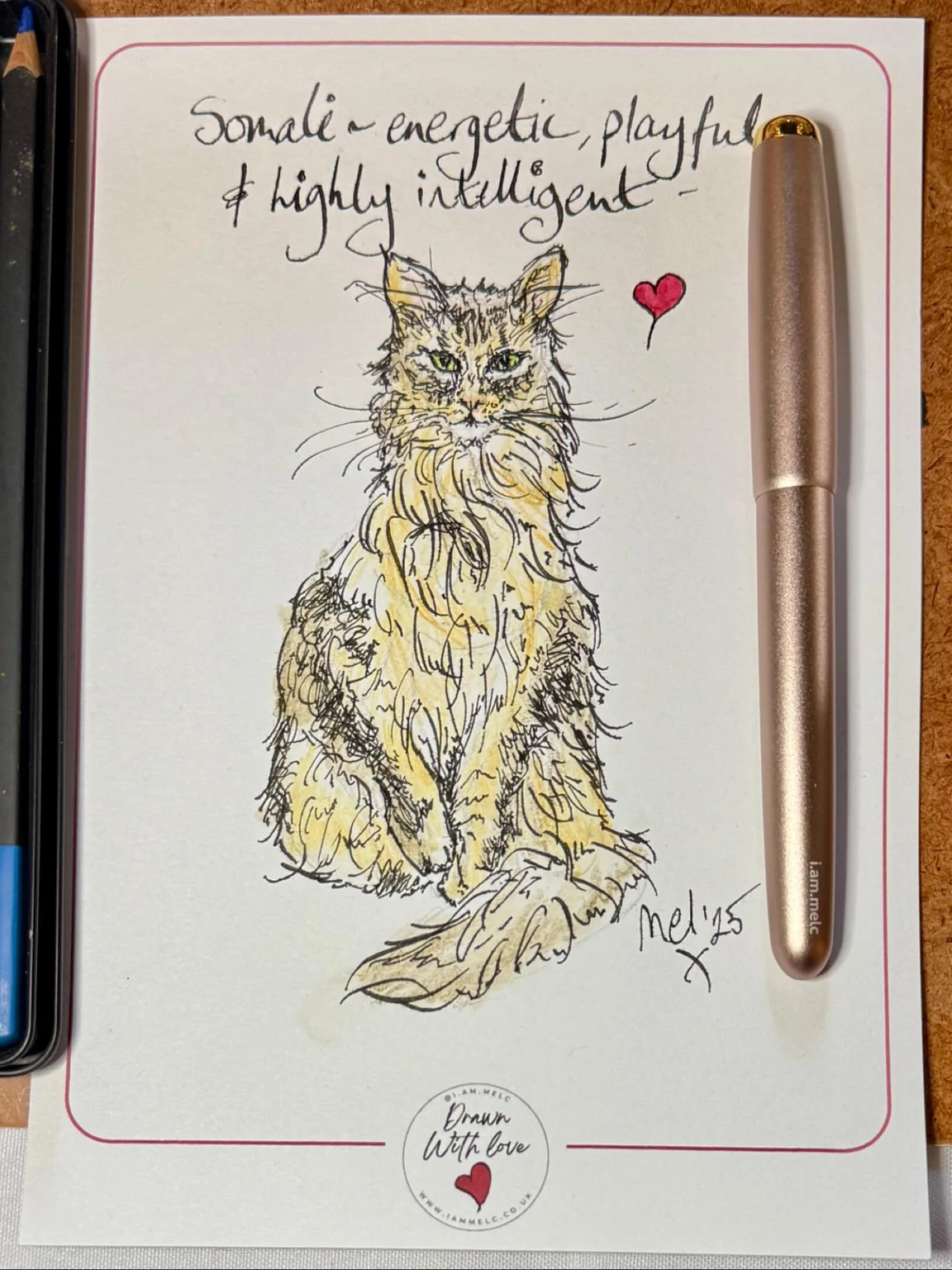 #Inkdrawing inspiration while I was at a #christmasfair yesterday 🧡 Did you see me testing out my new #inkpen? 

#watchmedraw #tomsstudio #fountainpen #catsandquotes #artdemo #dailyartpractice #somalicat #catcharacter #artwork