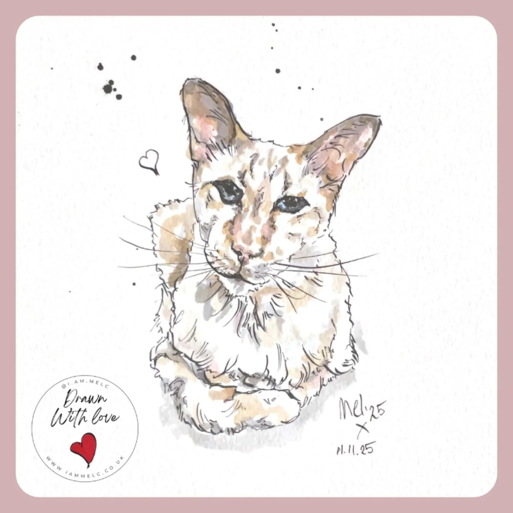 &lsquo;Leo Sunshine&rsquo; &hearts;️

#inkandwash #cat_illustration #pawtrait #petportraitartist #artoftheday