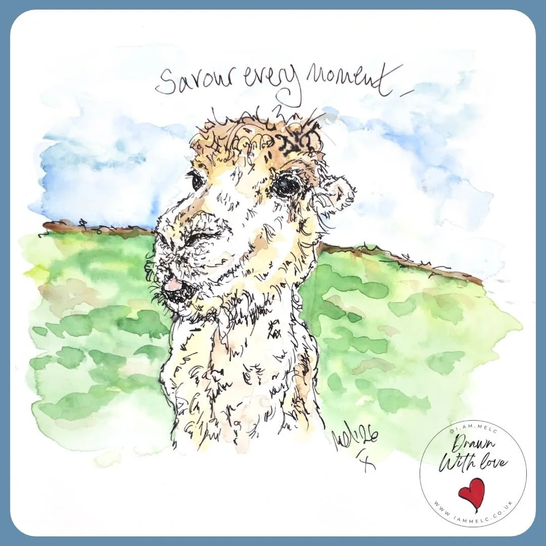 🌱 savour every moment 🌱 #tongueouttuesday #tot #lama_art #sketchbookdrawing #inkandwatercolourartist