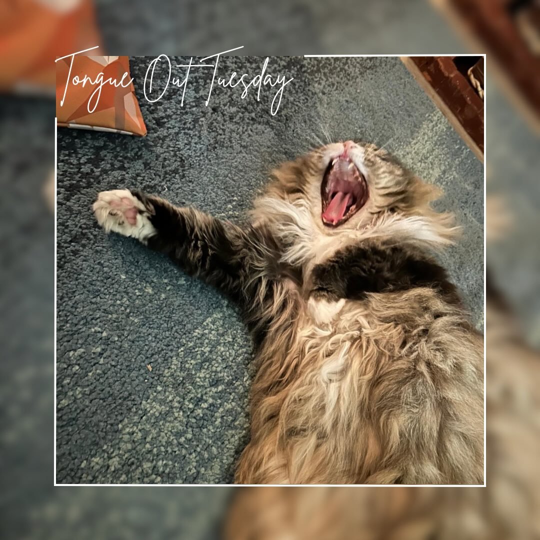 Tongue out Tuesday #tot 😝