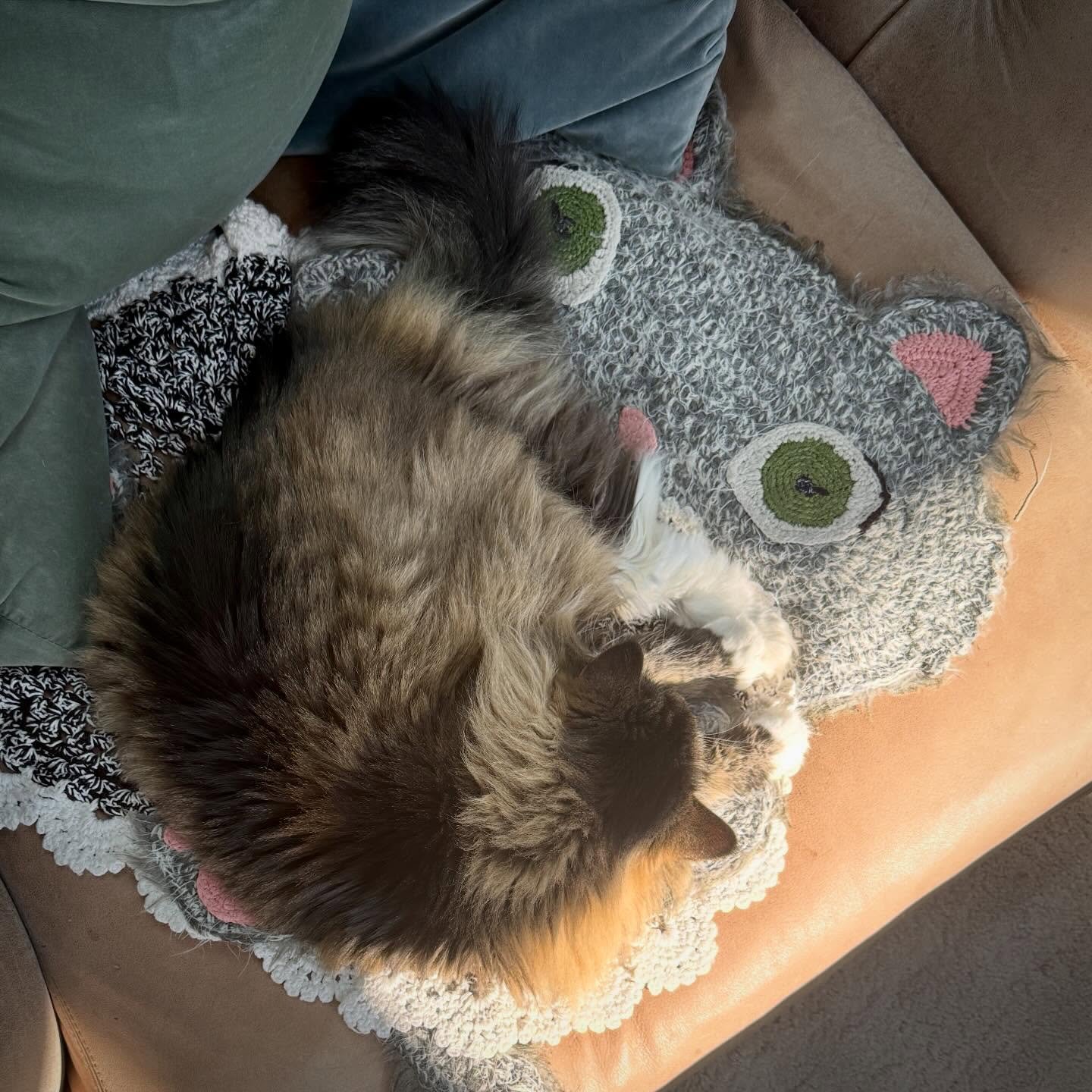 Happy purrsday &hearts;️