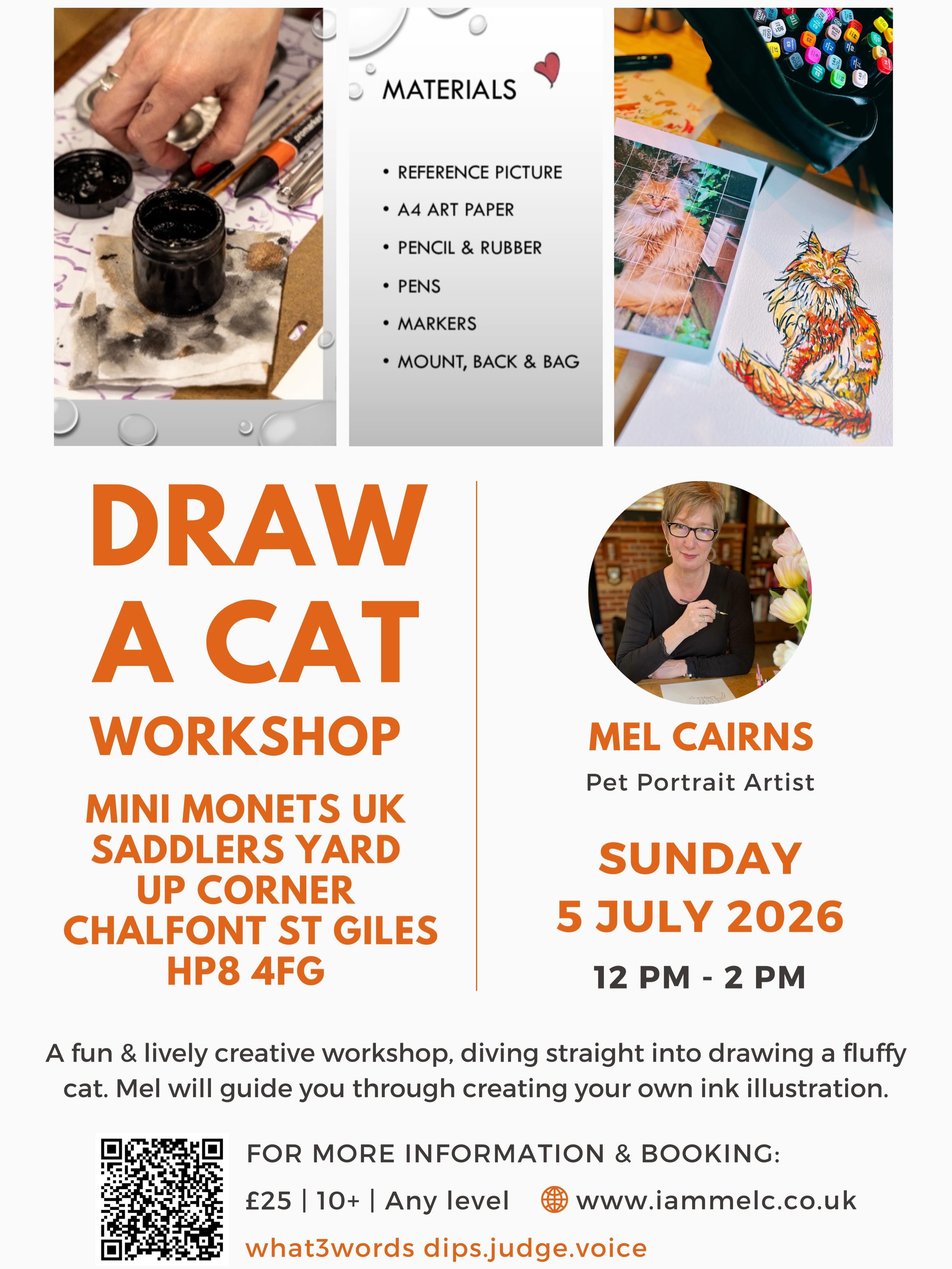 New Workshop Announced! Or you can come and watch me draw today at @galleriaonthegreen at midday. I&rsquo;ll be drawing a gorgeous Maine Coon cat ✒️🐾&hearts;️ #bucksartweeks #chalfontsummerarttrail #watchmedraw #maineecooncat #catart