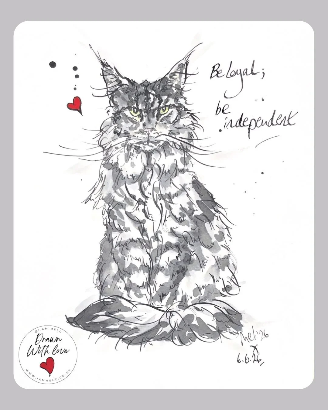 Live demo illustration of a beautiful Maine Coon ✒️🐾&hearts;️ Saturday may have delivered a few deluges ☔️ but I was in my element drawing a super fluffy characterful digital giveaway winner! Thank you to all those that entered and visited @galleria