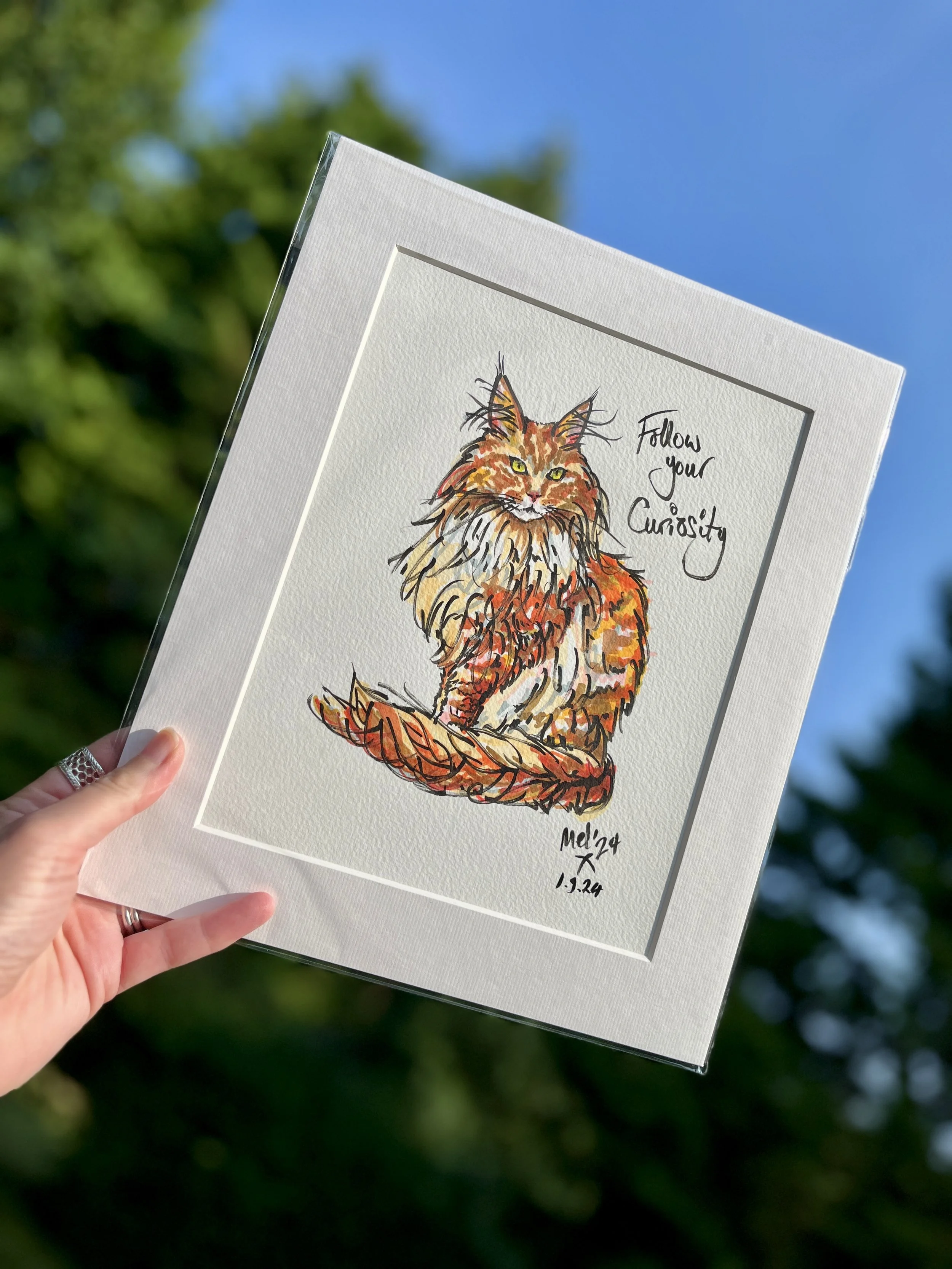 Pet Portraits Illustration Workshop