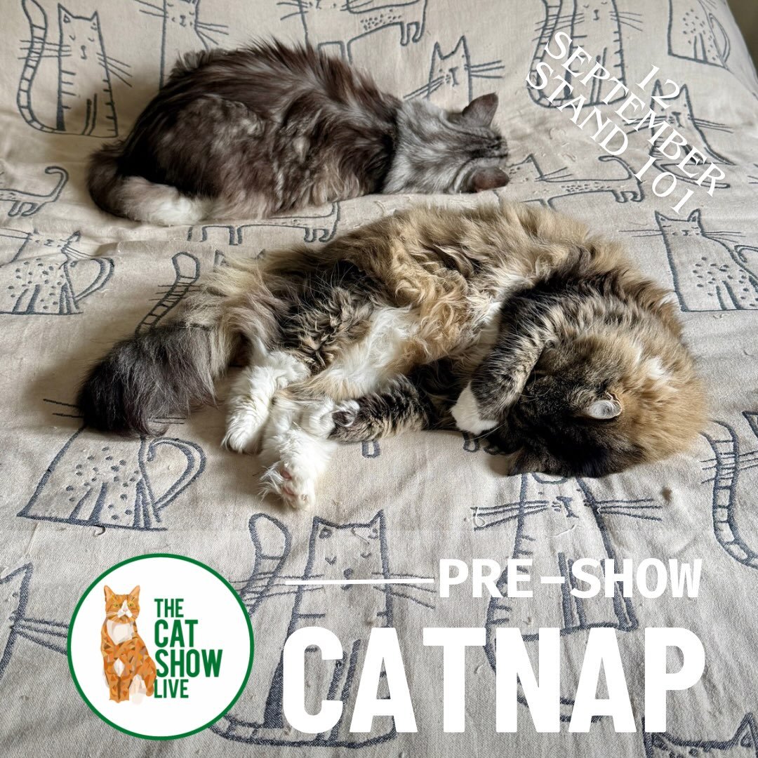 Pre-show catnap! Stand 101 Retail Avenue @thecatshowlive @necbirmingham 📍 #thecatshowlive #RECO #catexpo