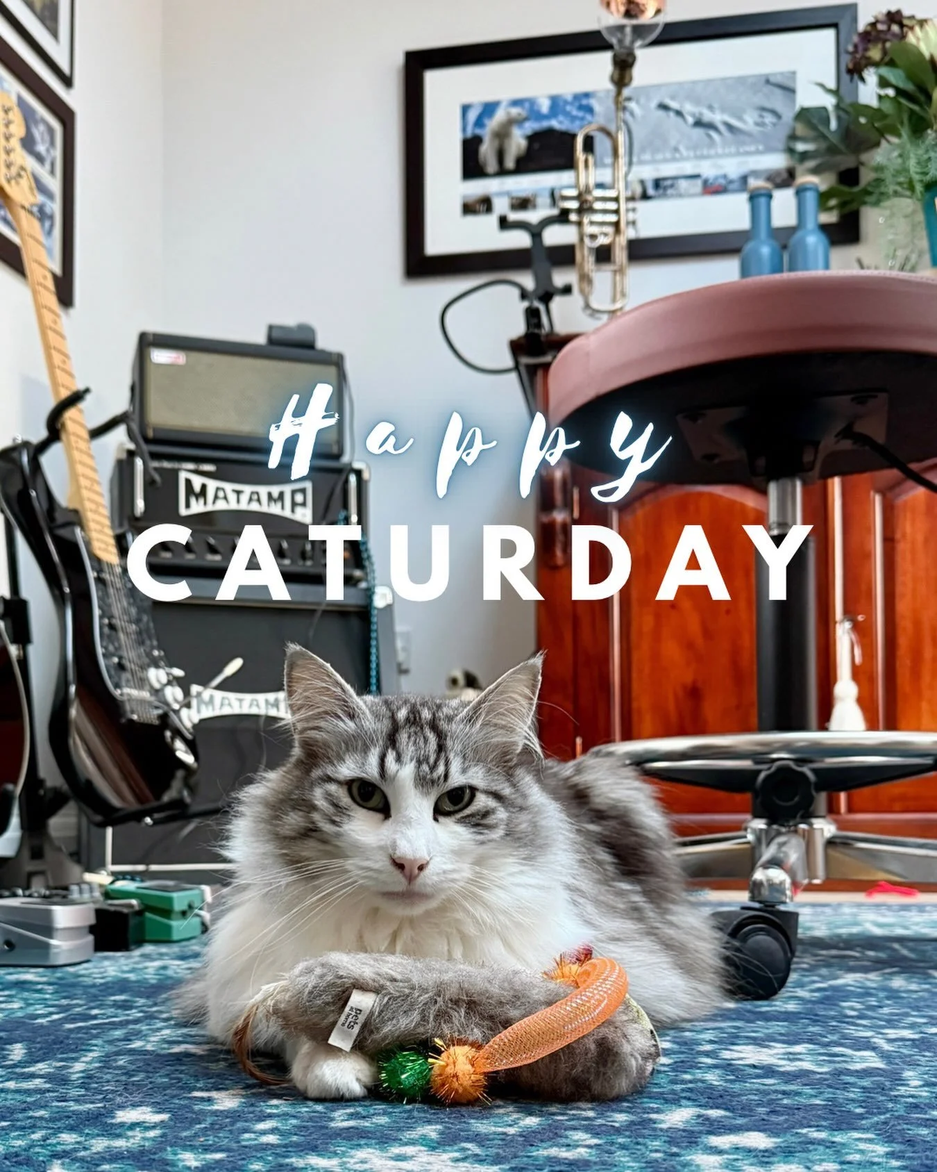 While Argyle&rsquo;s claiming all the toys in the house, I&rsquo;ll be at @kiticats.uk International Cat Show at @windsorleisurecentre from 10am-4pm all weekend 😻

#watchmedraw #happycaturday #meettheartist #idrawcats #catartist
