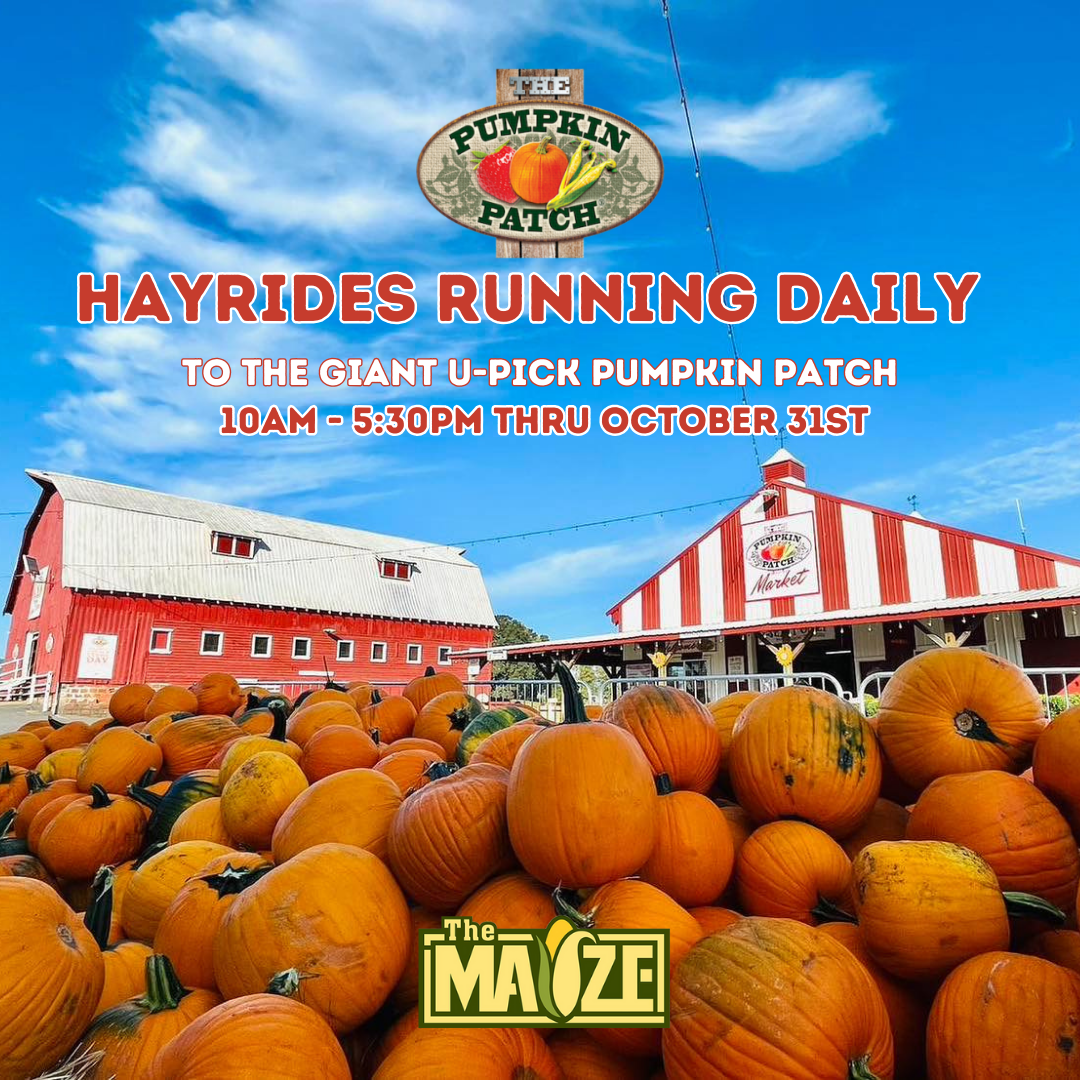 Free pumpkin hayrides start today! (1).png