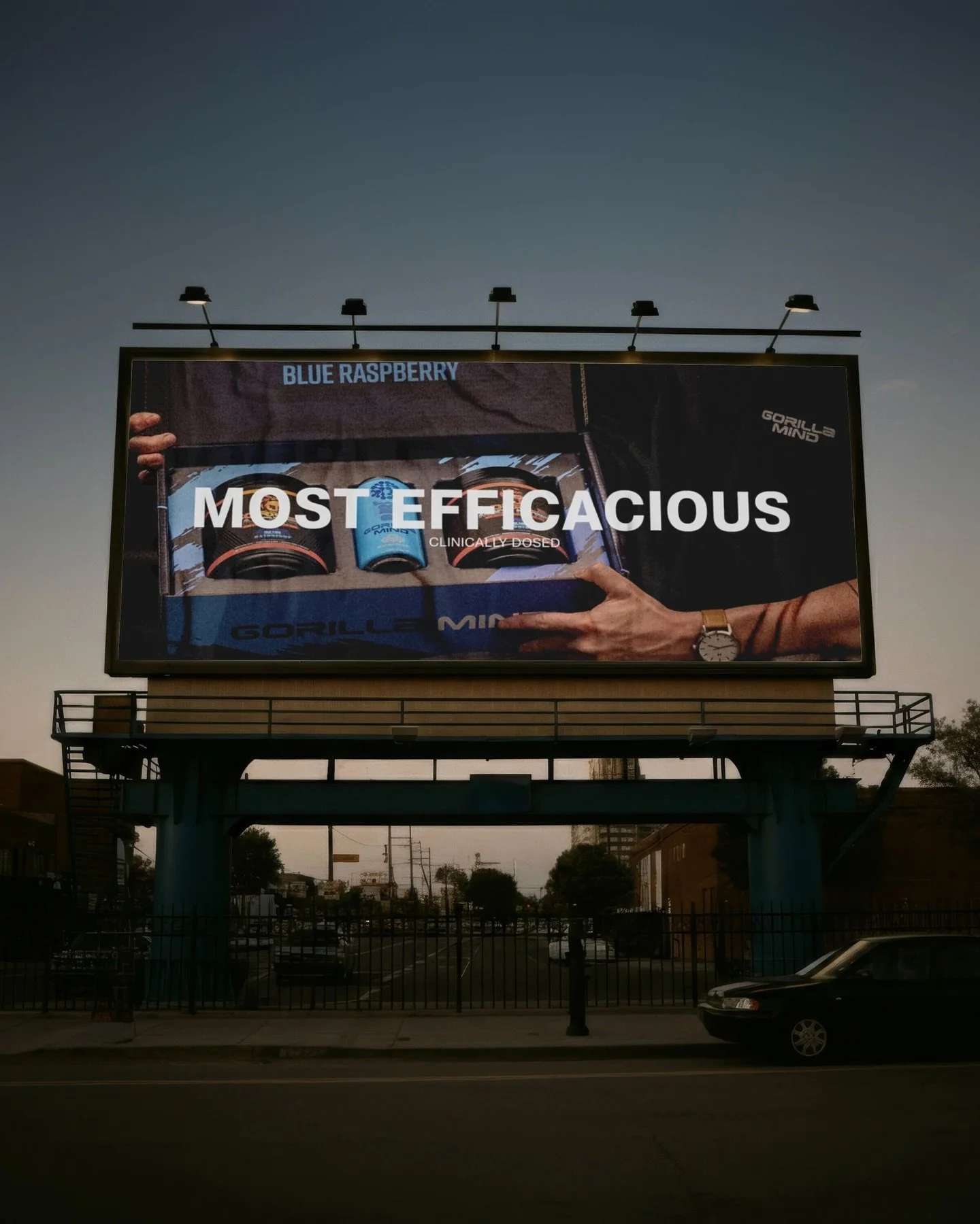 gorilla billboard 2.jpg