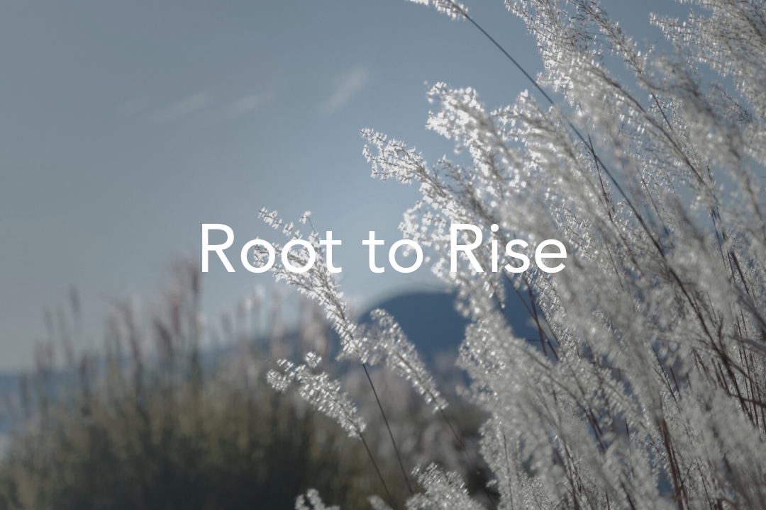 Root to Rise