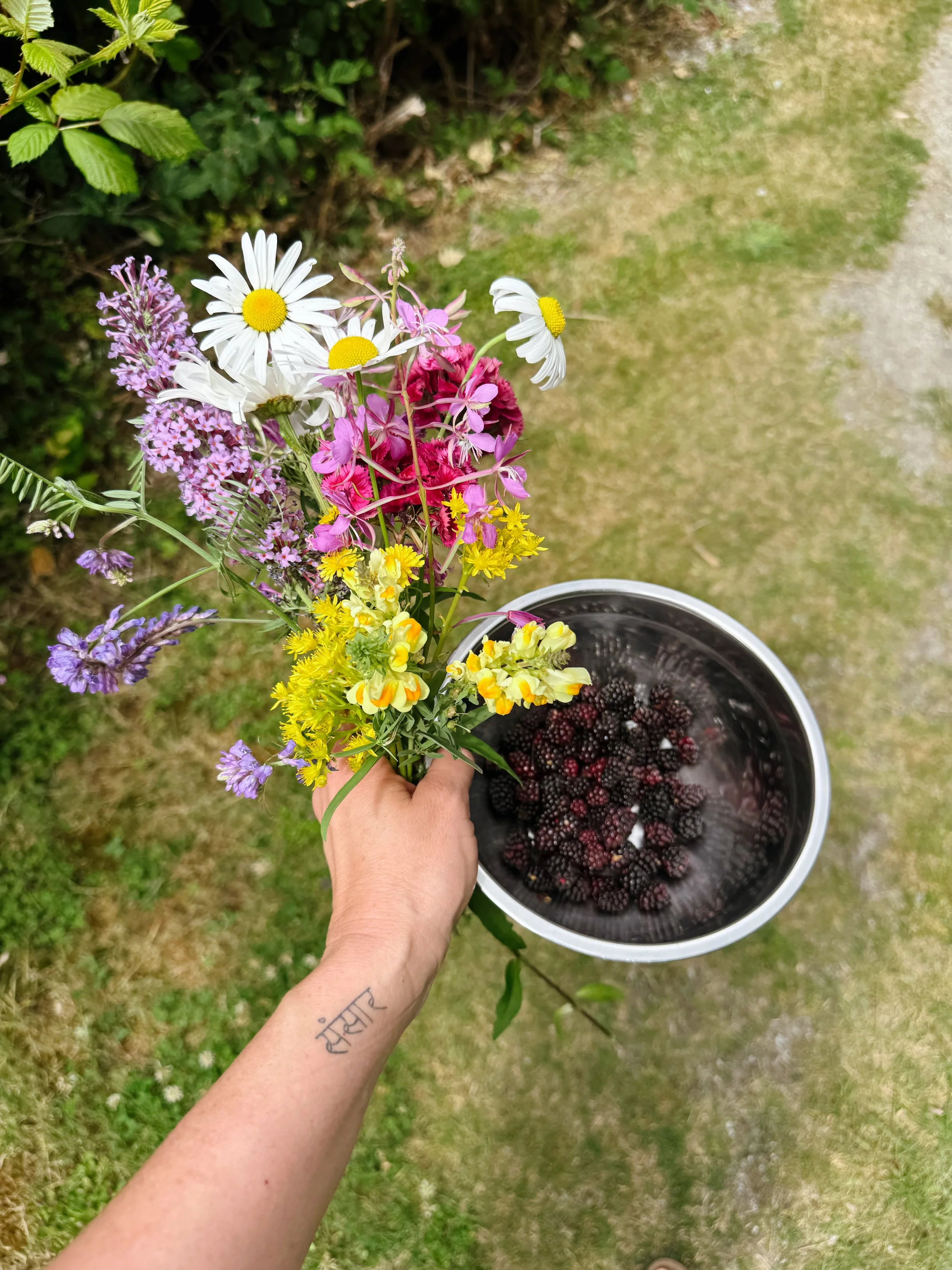 IMG_1029.jpeg