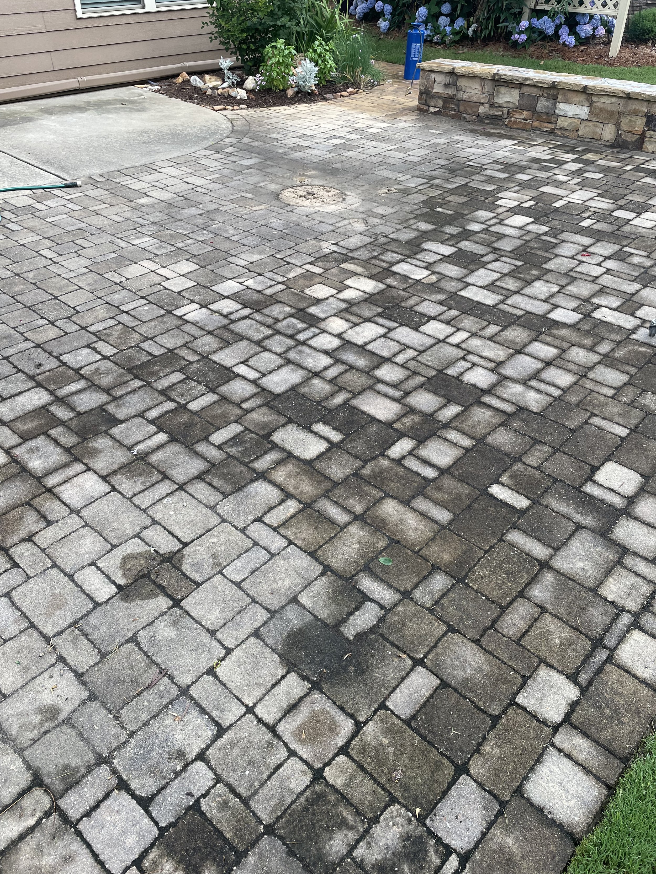 z 1.jpg