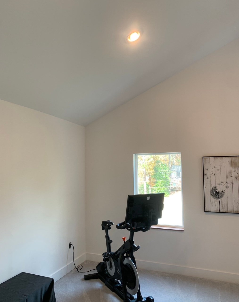 image4 (3).jpeg