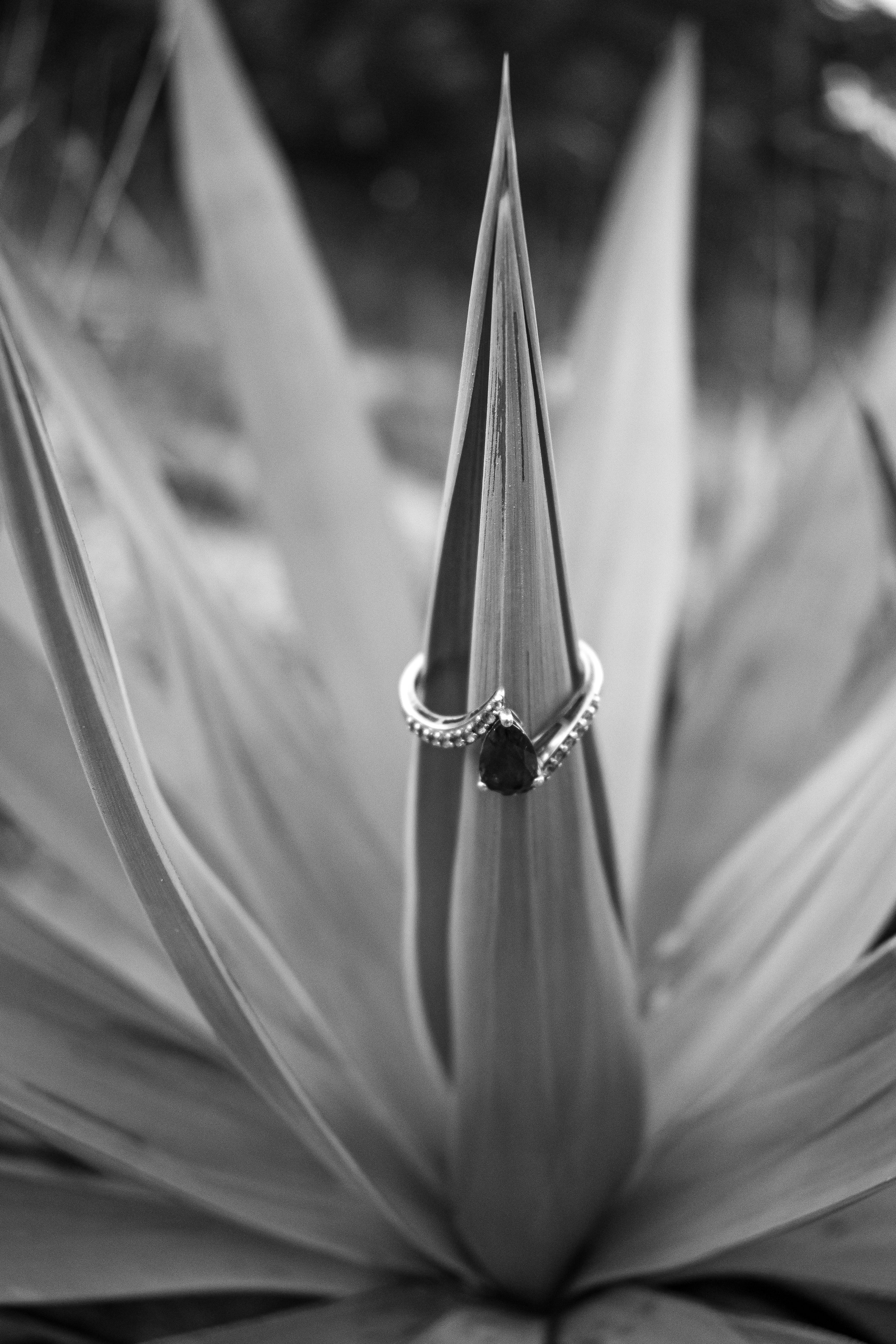 HEA_0406.jpg