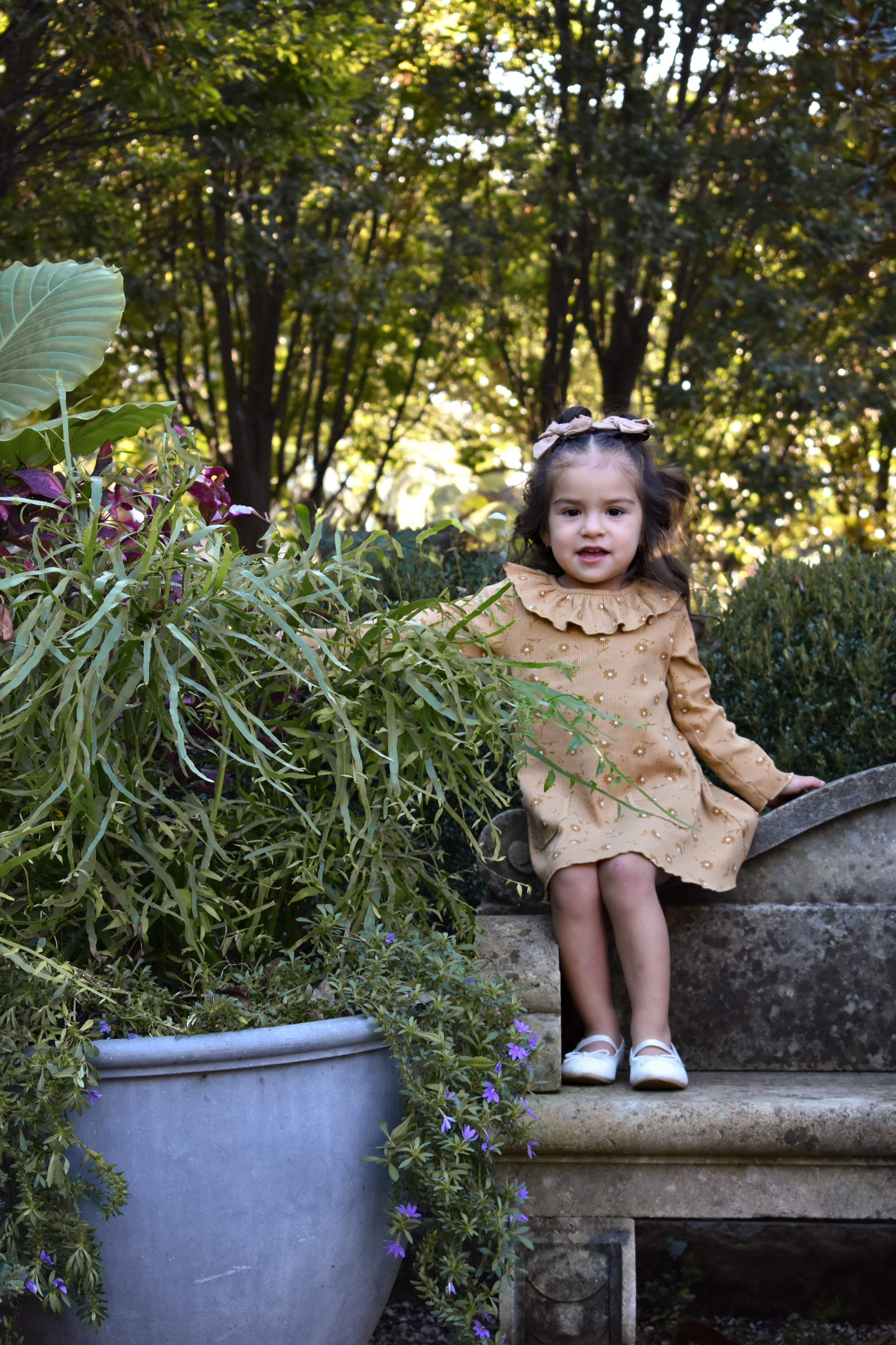 Essential Portrait Package