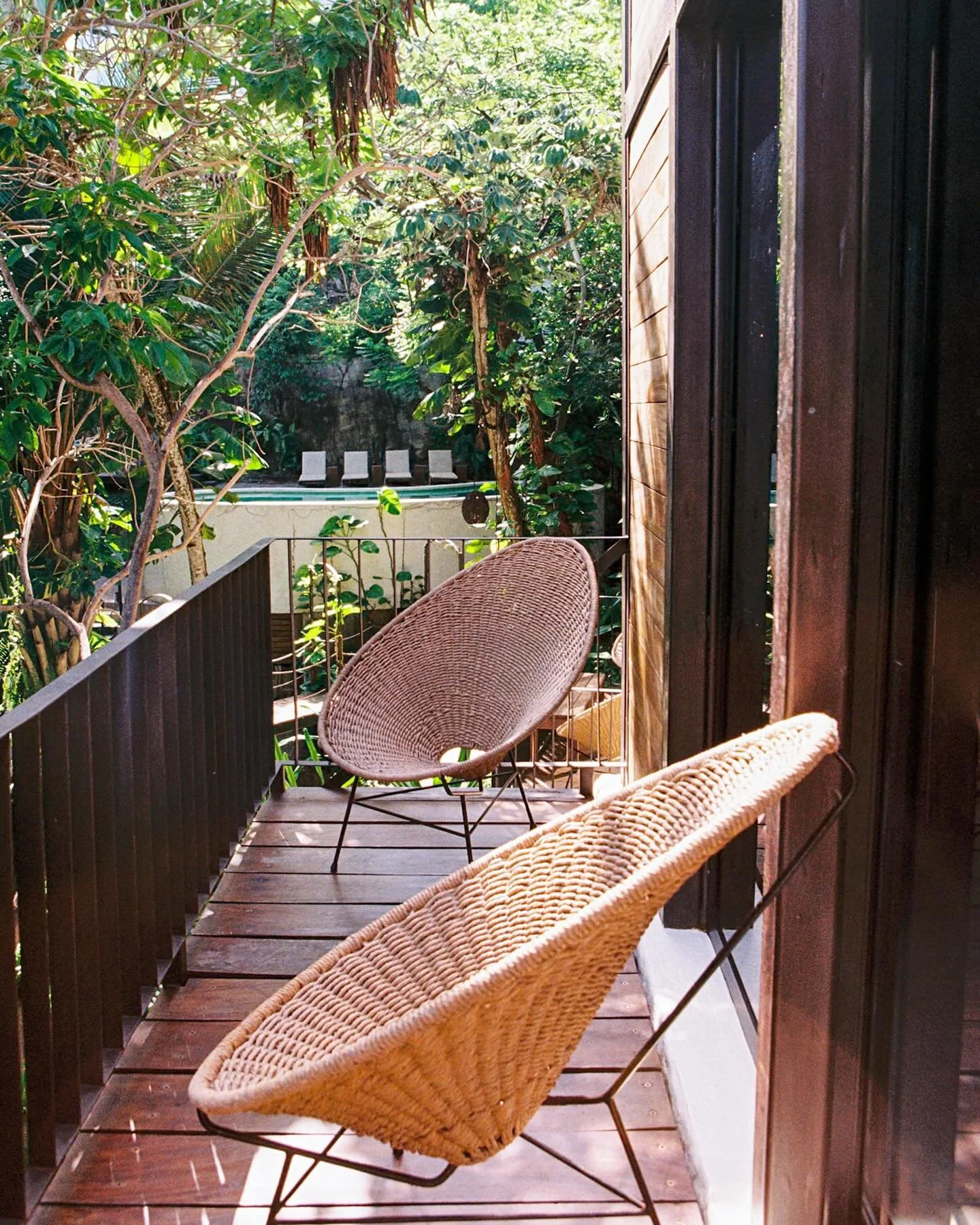 Soft mornings in the jungle