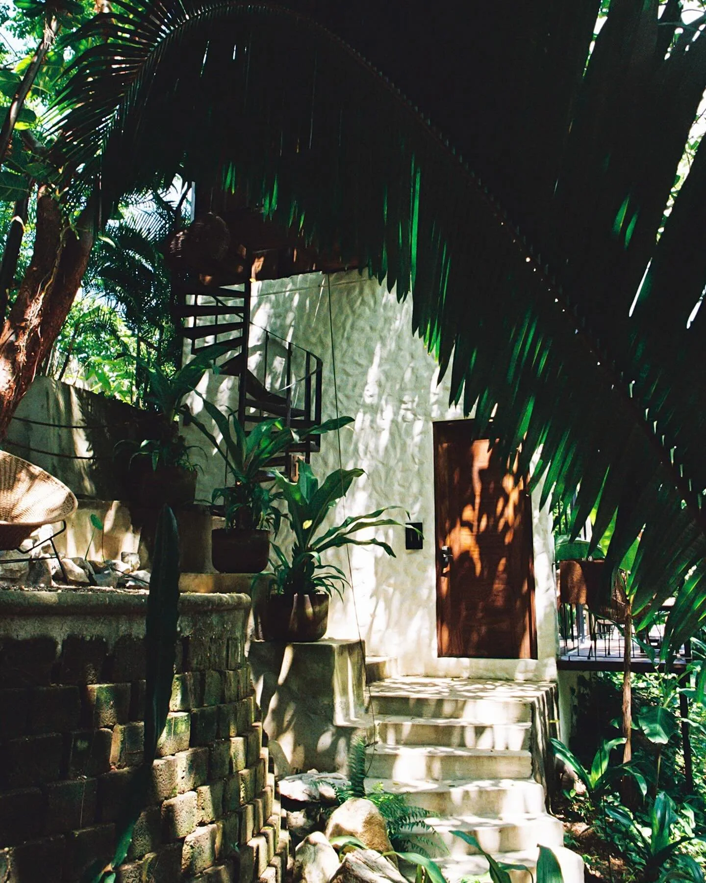 framed by nature 🌿