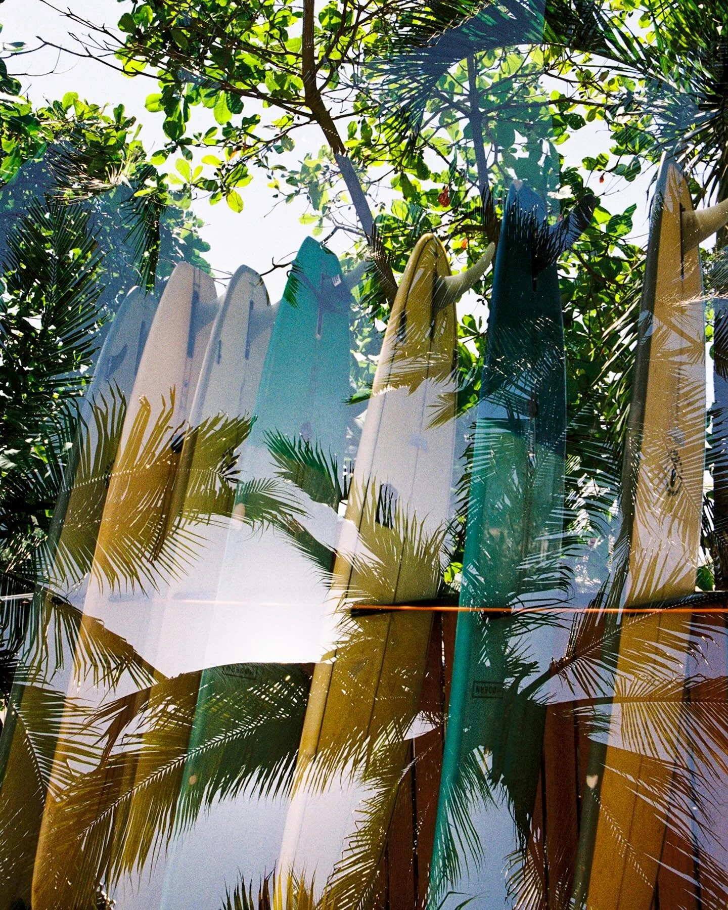 dreamy #doubleexposures of Sayulita