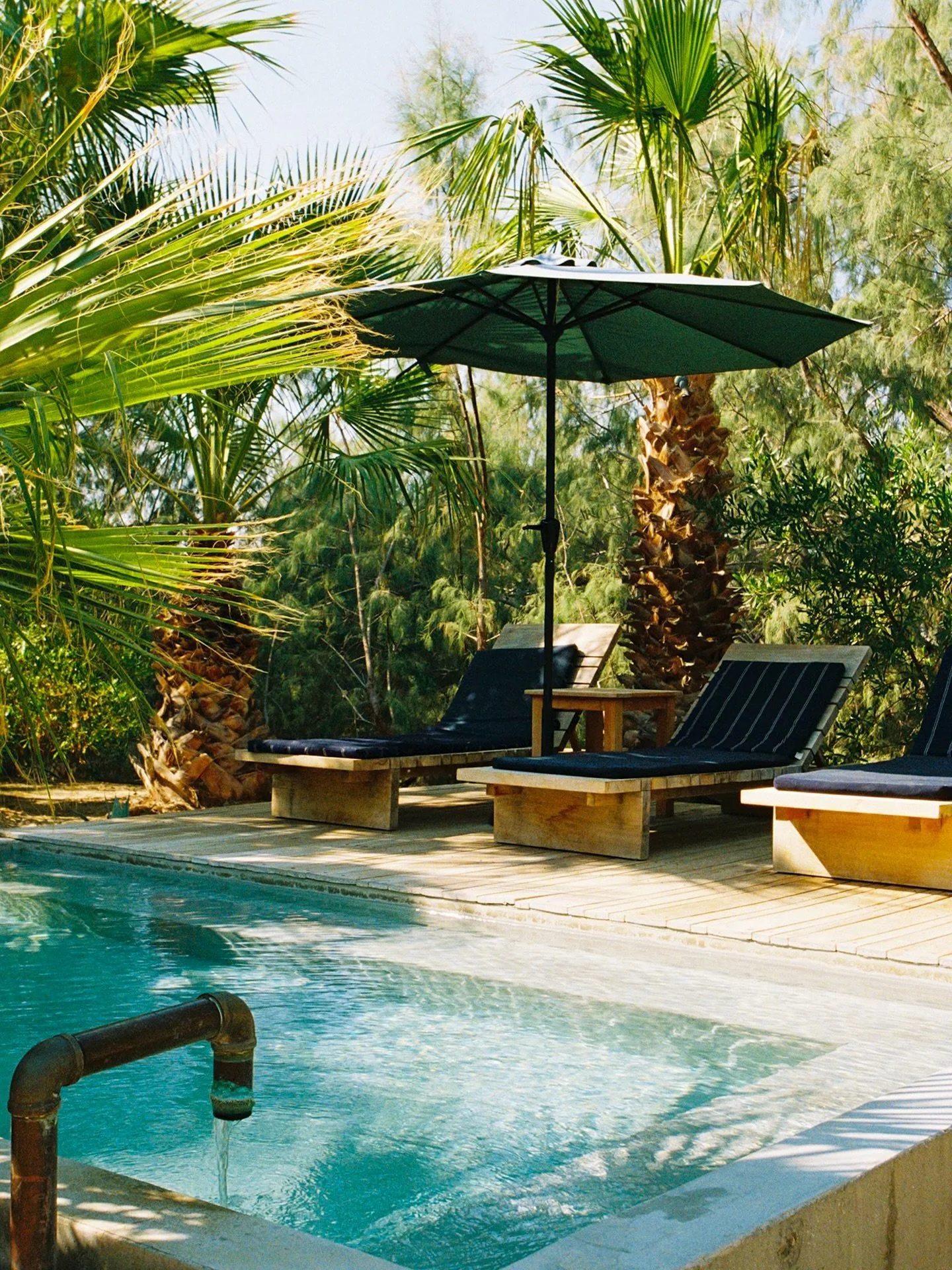 mineral spring magic @twobunchpalms