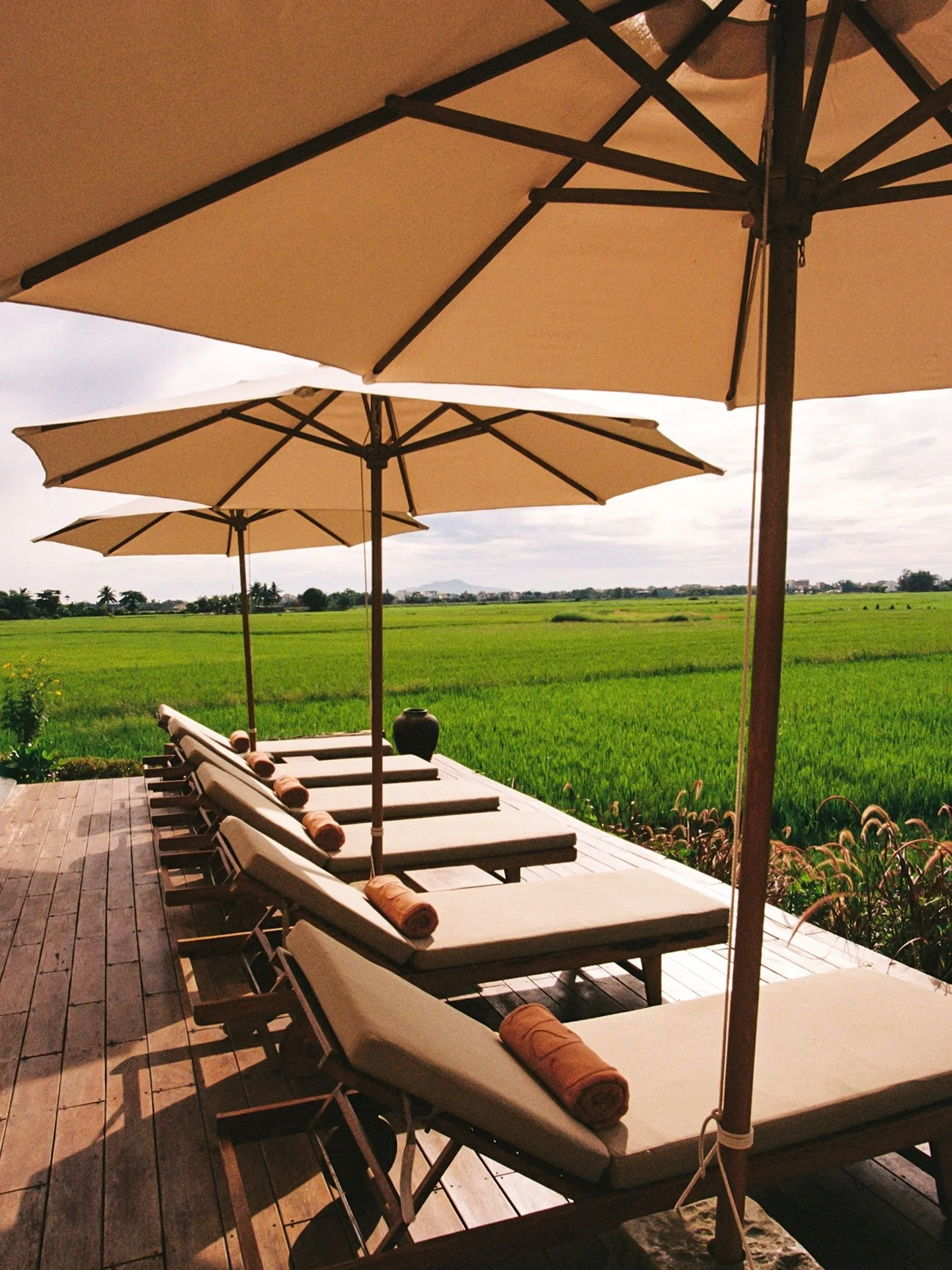 where rice fields meet the sky @reu.hotel.hoian