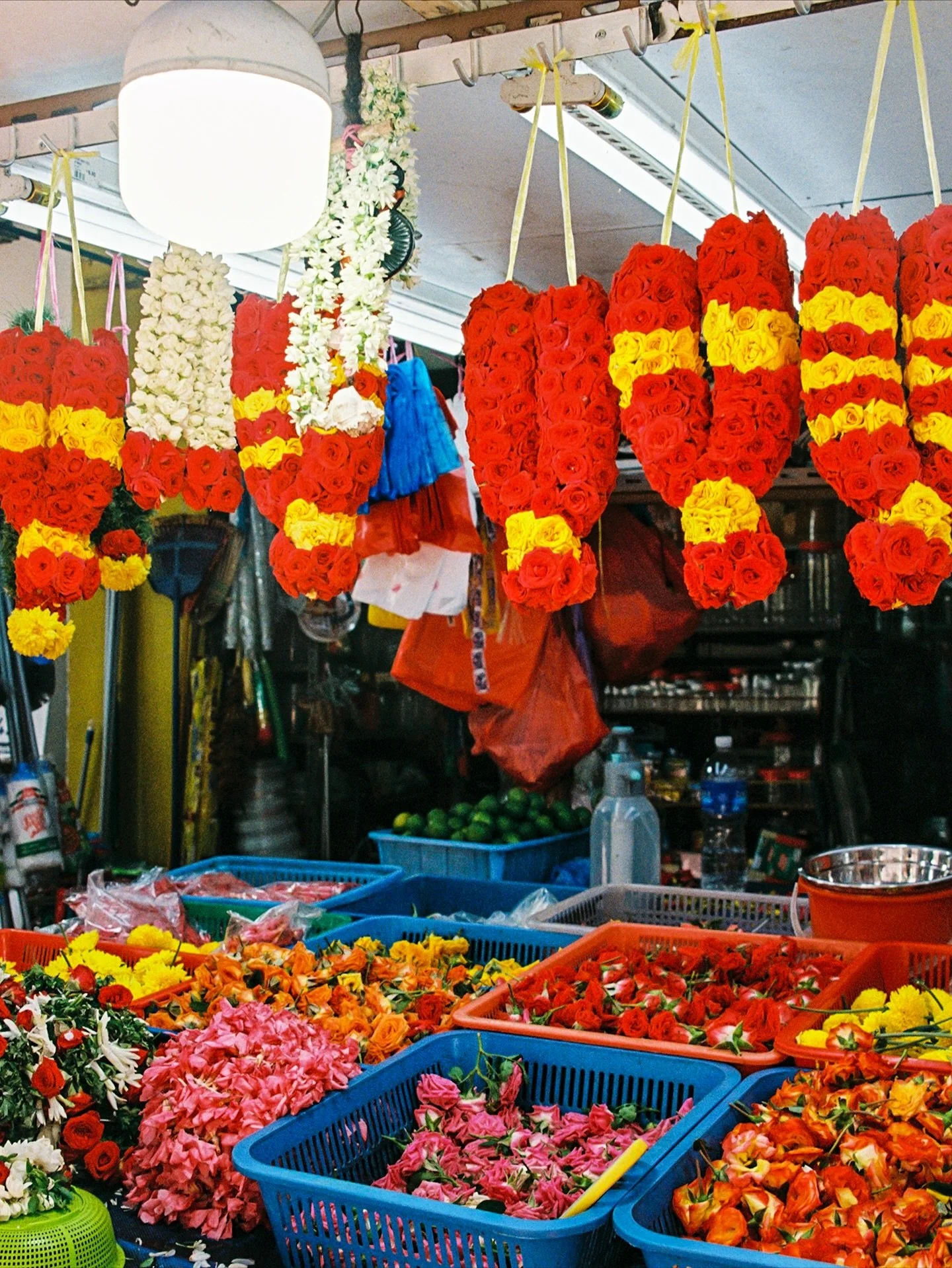 a study of beauty in the ordinary, found in Singapore
