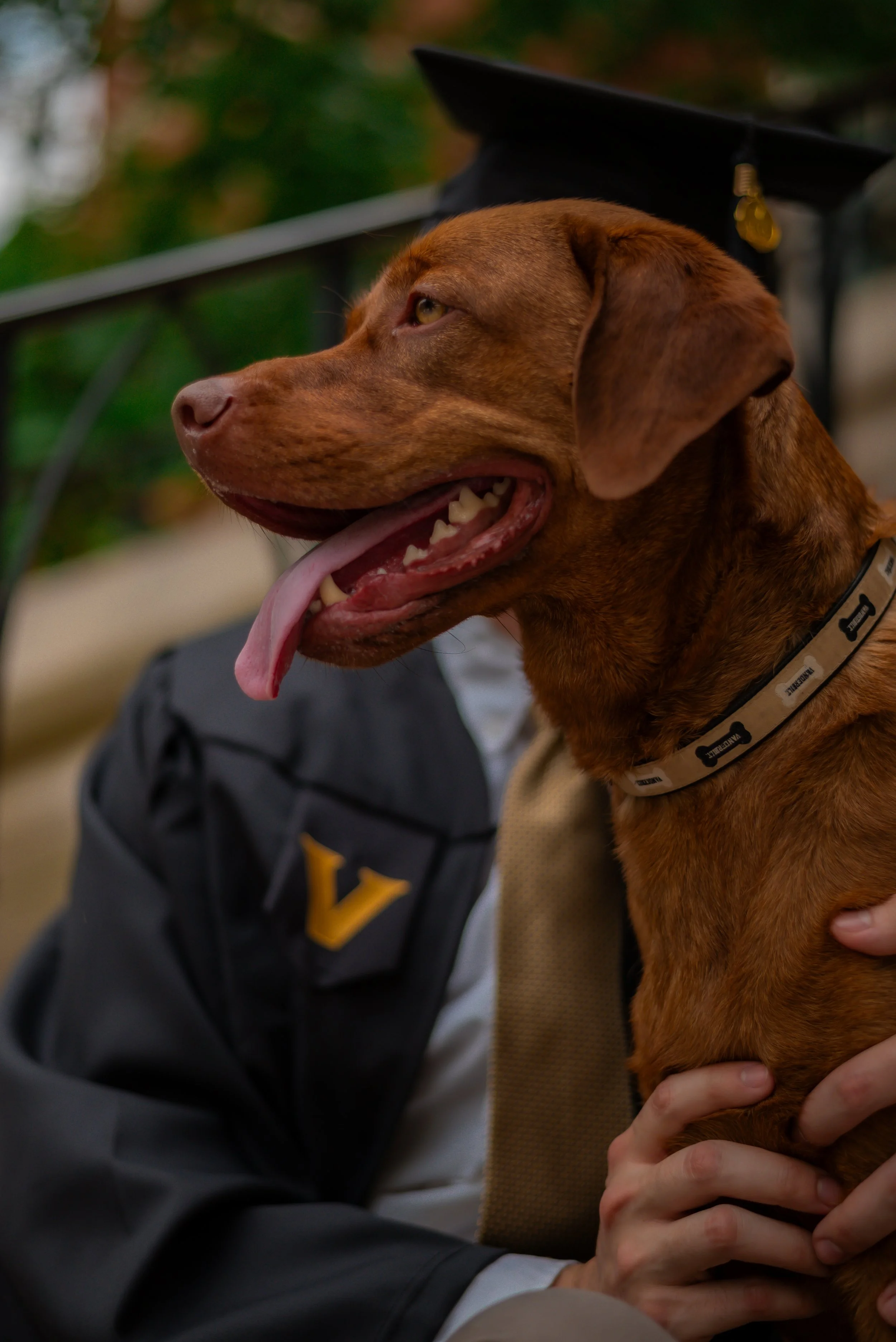 CCW_6580.jpg