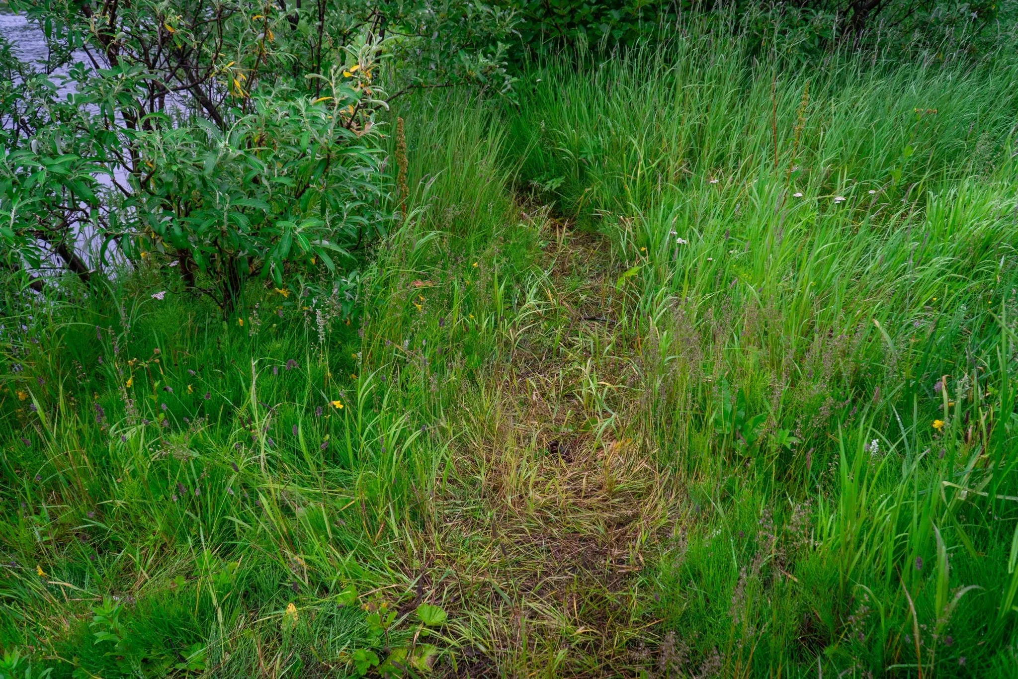 20260728_002338_E3810C.JPEG
