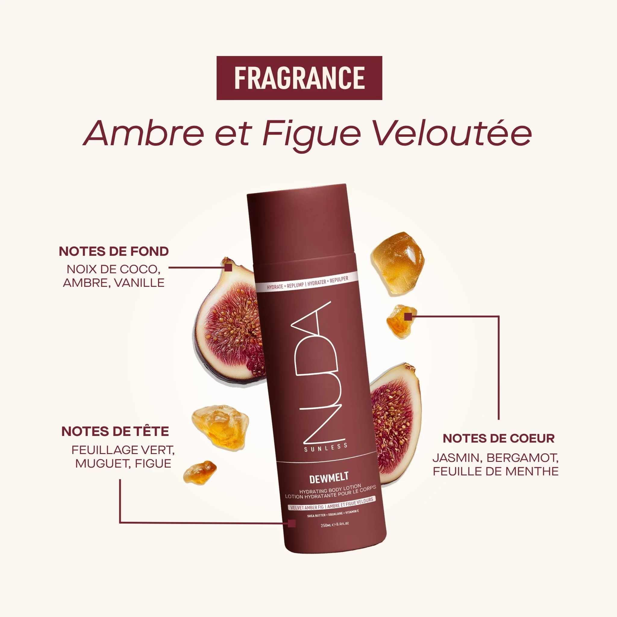 08 - DEWMELT FRAGRANCE FR.jpg