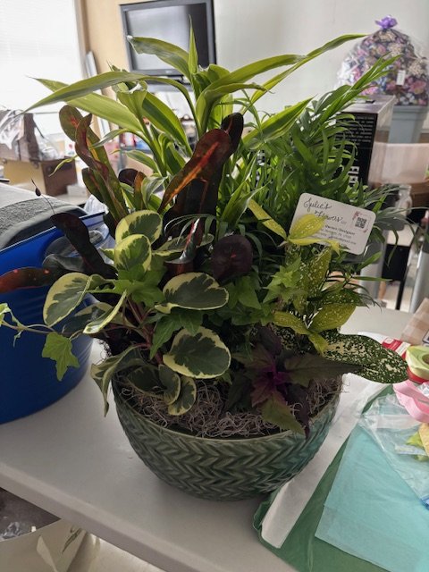 A potted arrangement of various green and variegated indoor houseplants in a decorative, dark-colored bowl, placed on a white table.