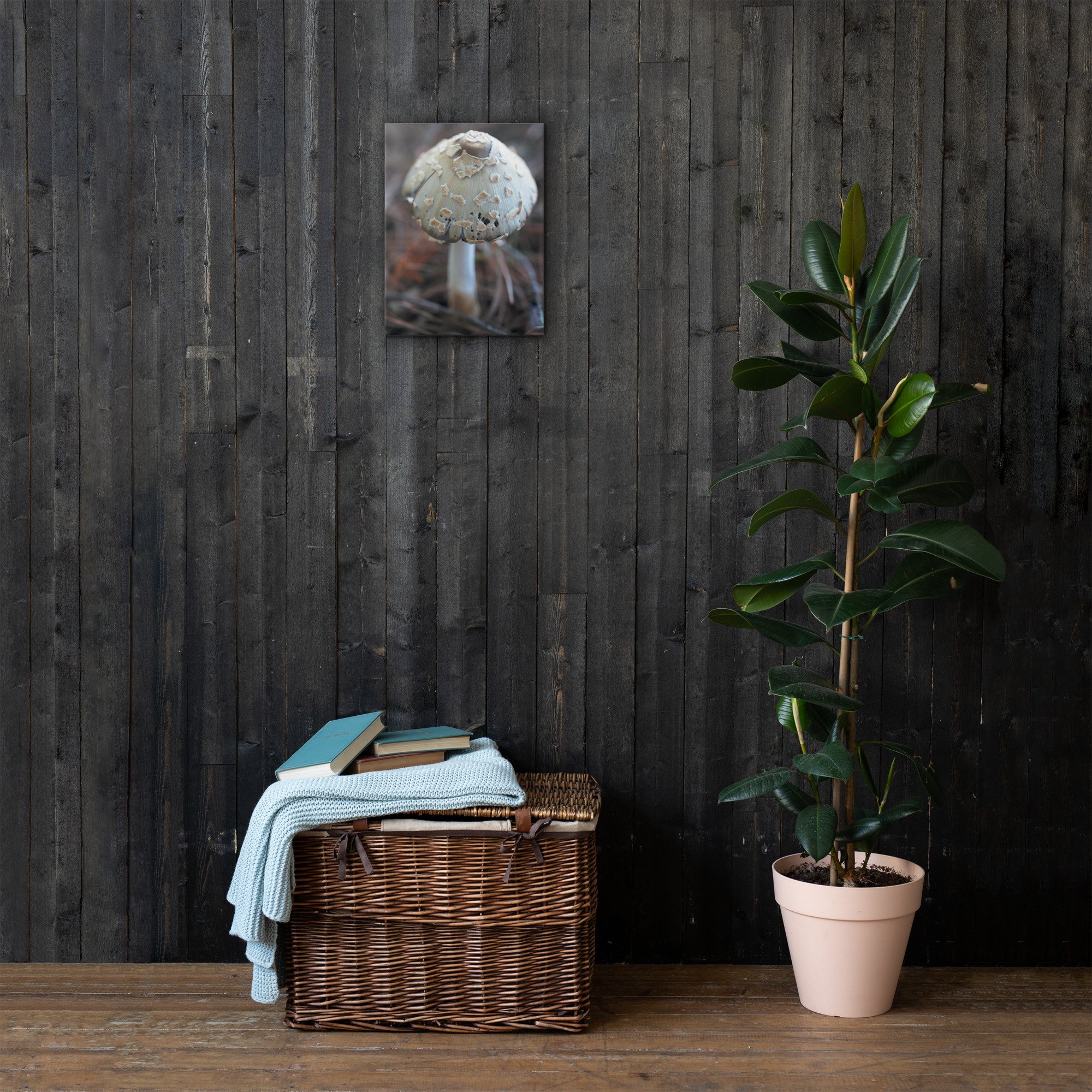 thin-canvas-(in)-12x16-front-66be43d093ac3.jpg