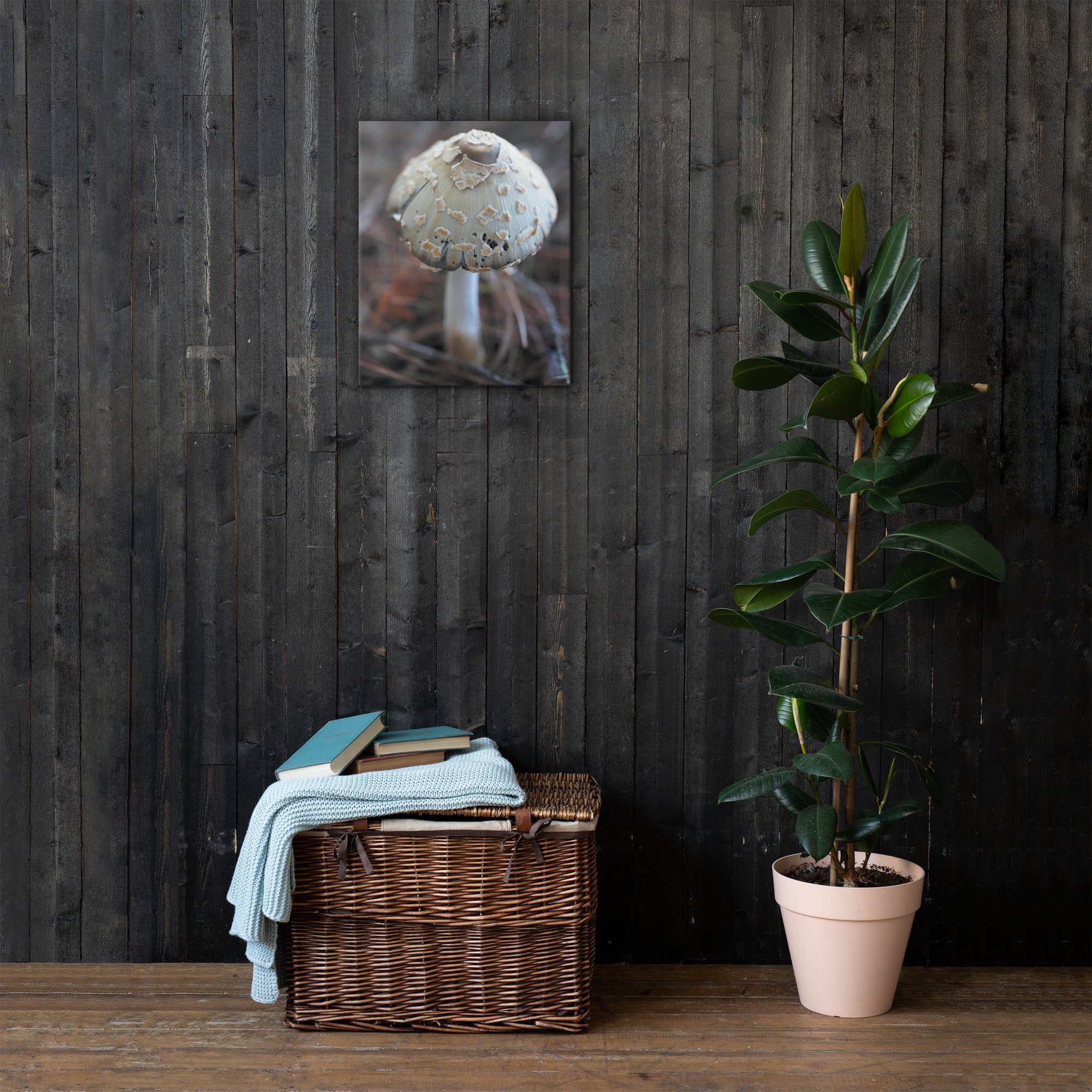 thin-canvas-(in)-16x20-front-66be43d093ba9.jpg