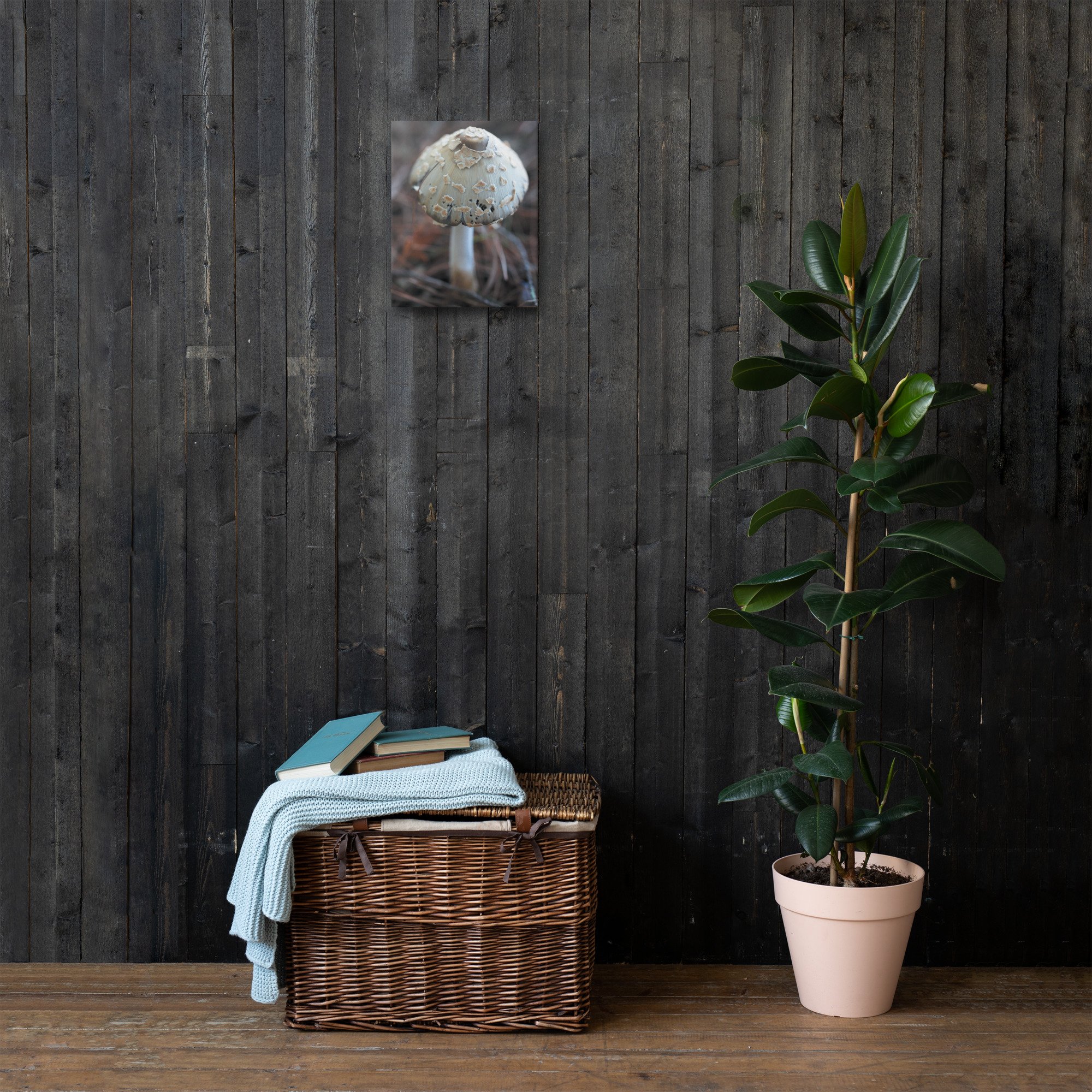 thin-canvas-(in)-11x14-front-66be43d093dd8.jpg