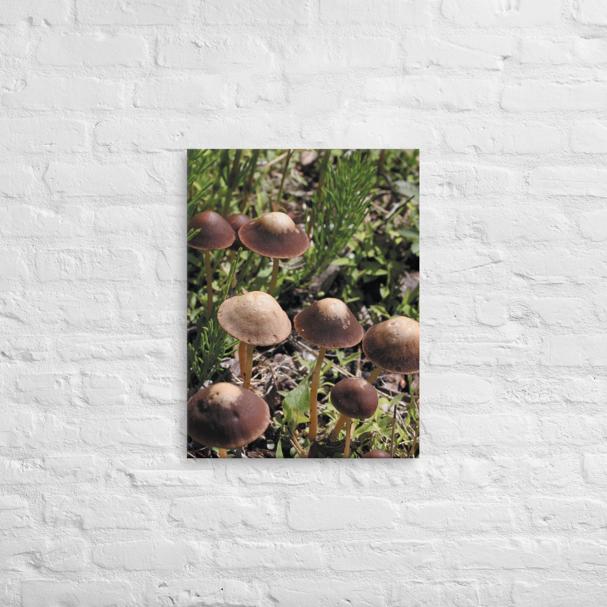 thin-canvas-(in)-18x24-front-66be480522998.jpg