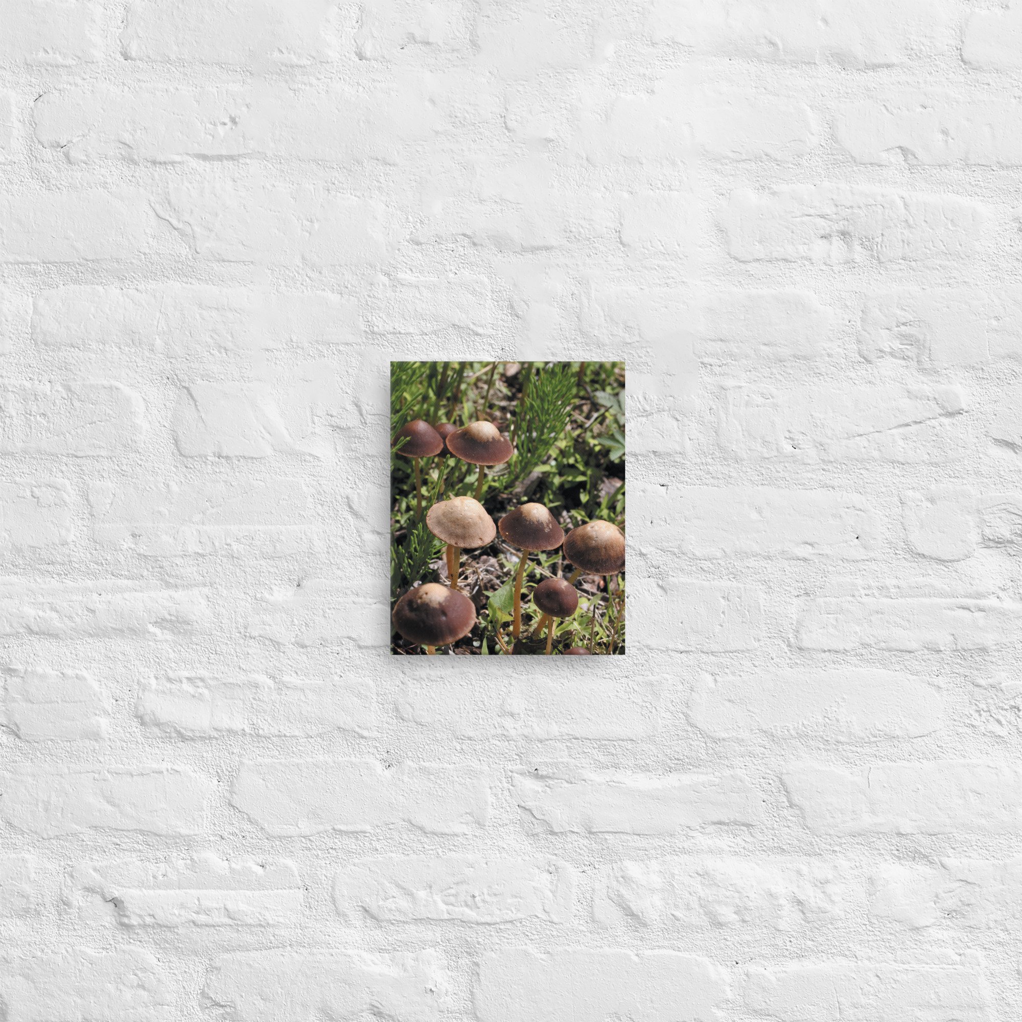 thin-canvas-(in)-8x10-front-66be480522d20.jpg