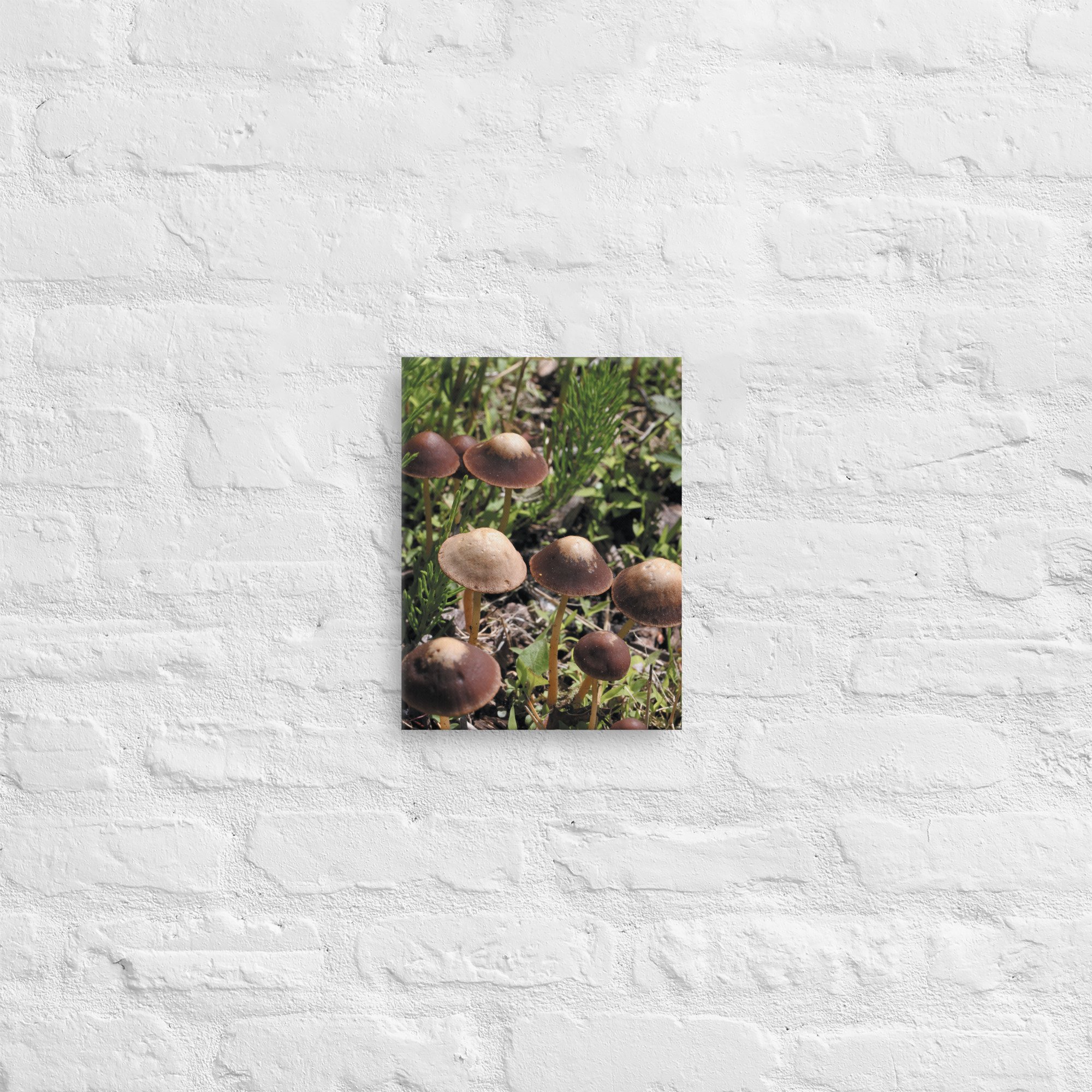 thin-canvas-(in)-9x12-front-66be480522d7e.jpg