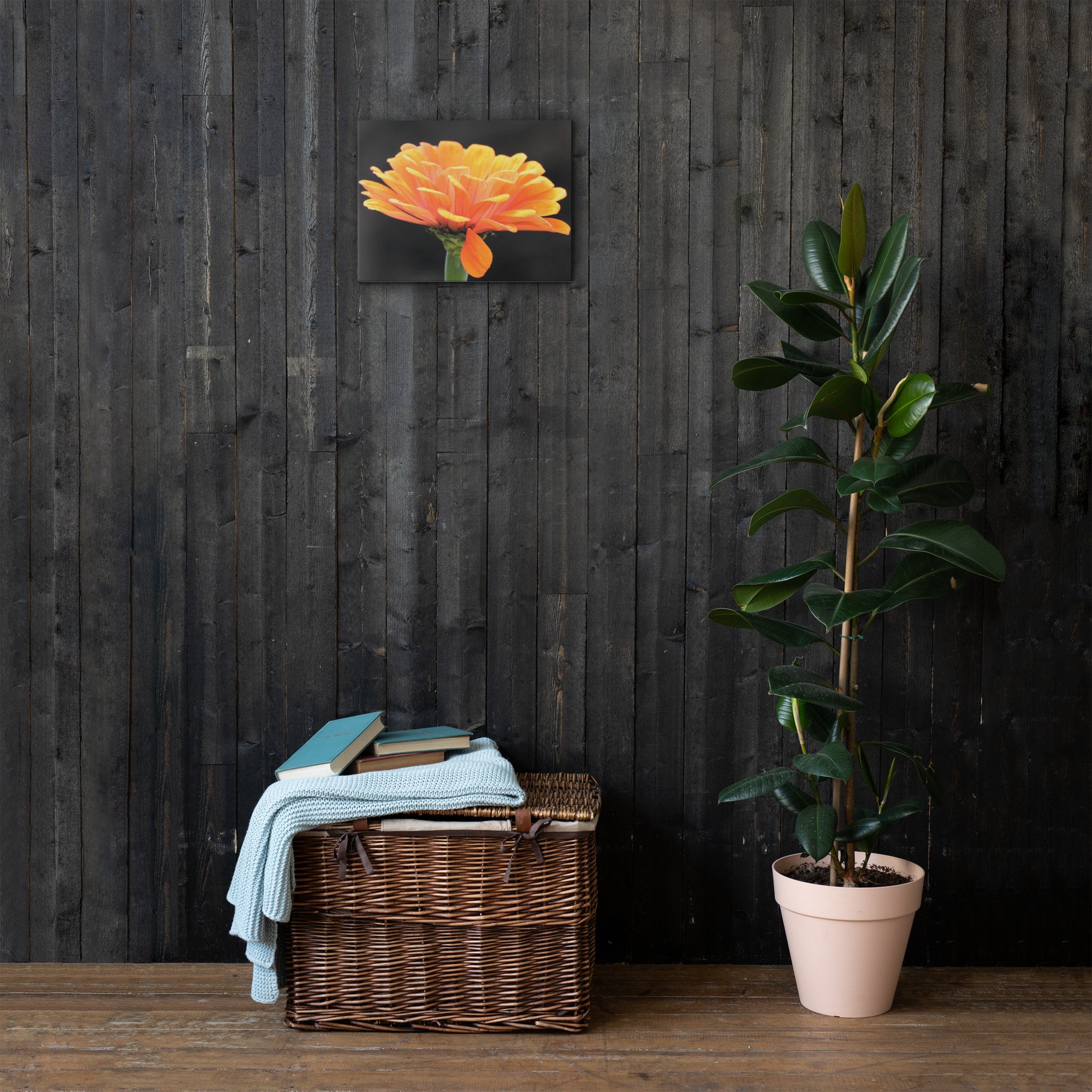 thin-canvas-(in)-12x16-front-66be48a9eb39a.jpg