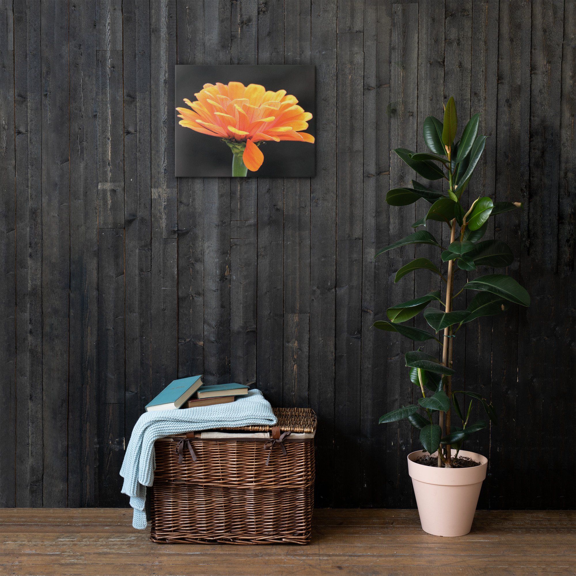 thin-canvas-(in)-16x20-front-66be48a9eb490.jpg