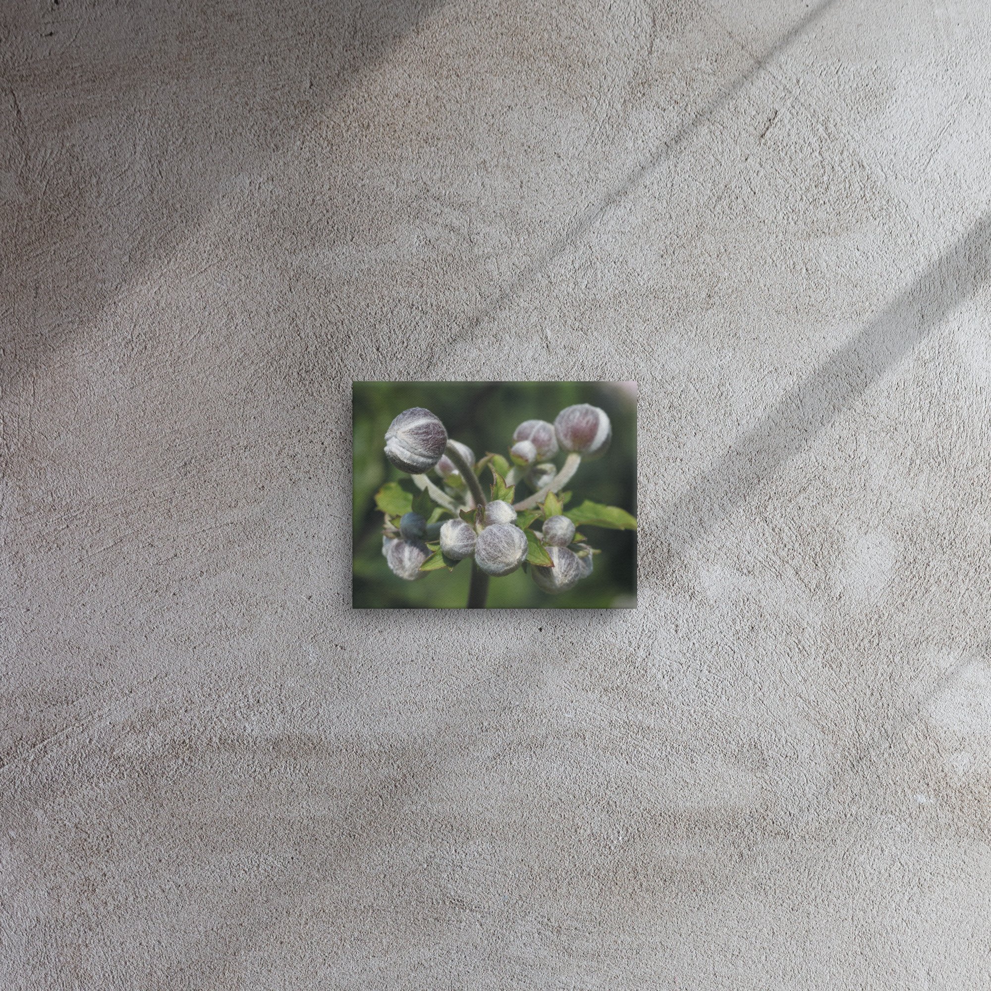 thin-canvas-(in)-8x10-front-66be49925a9cf.jpg