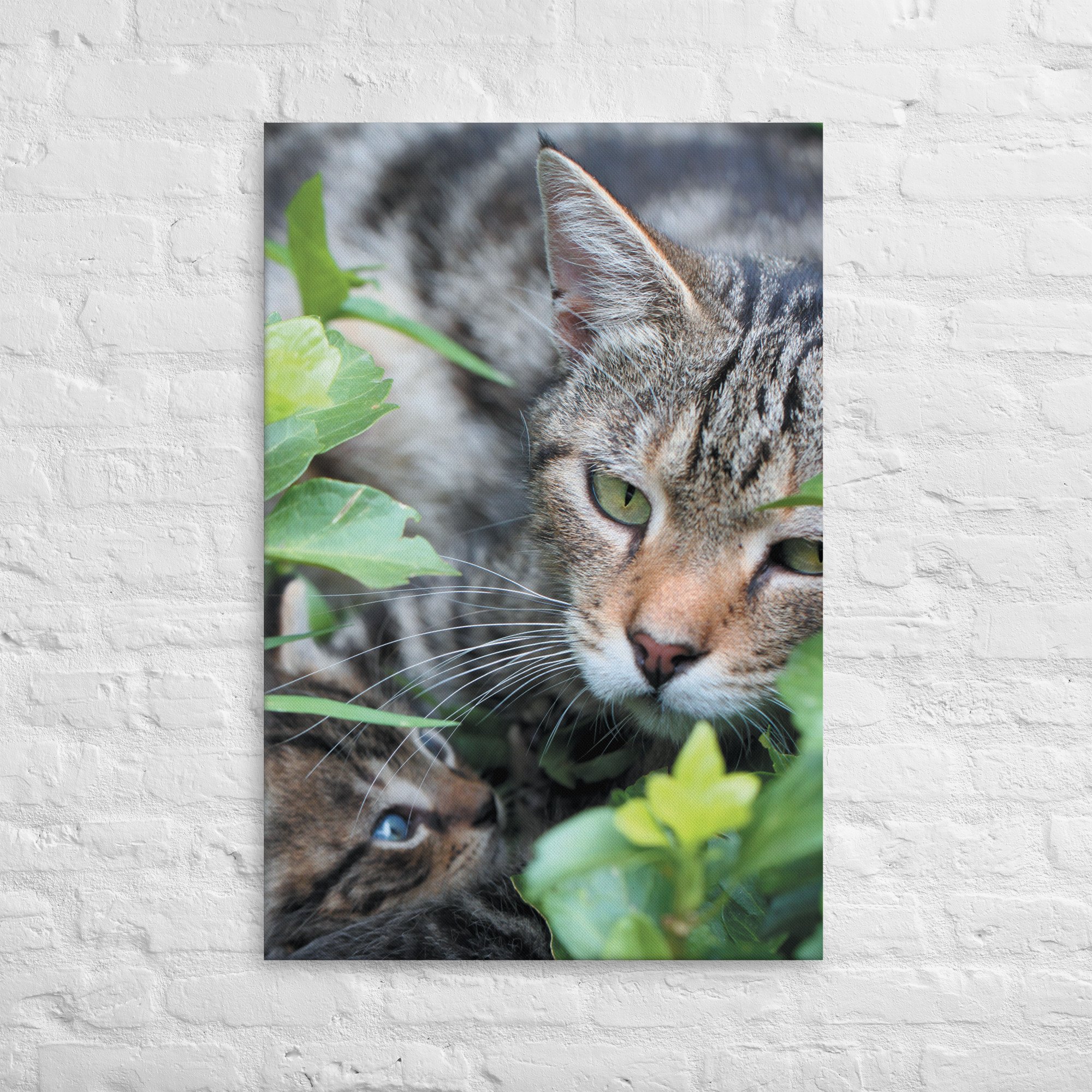 thin-canvas-(in)-24x36-front-66be4b9f8c0a0.jpg