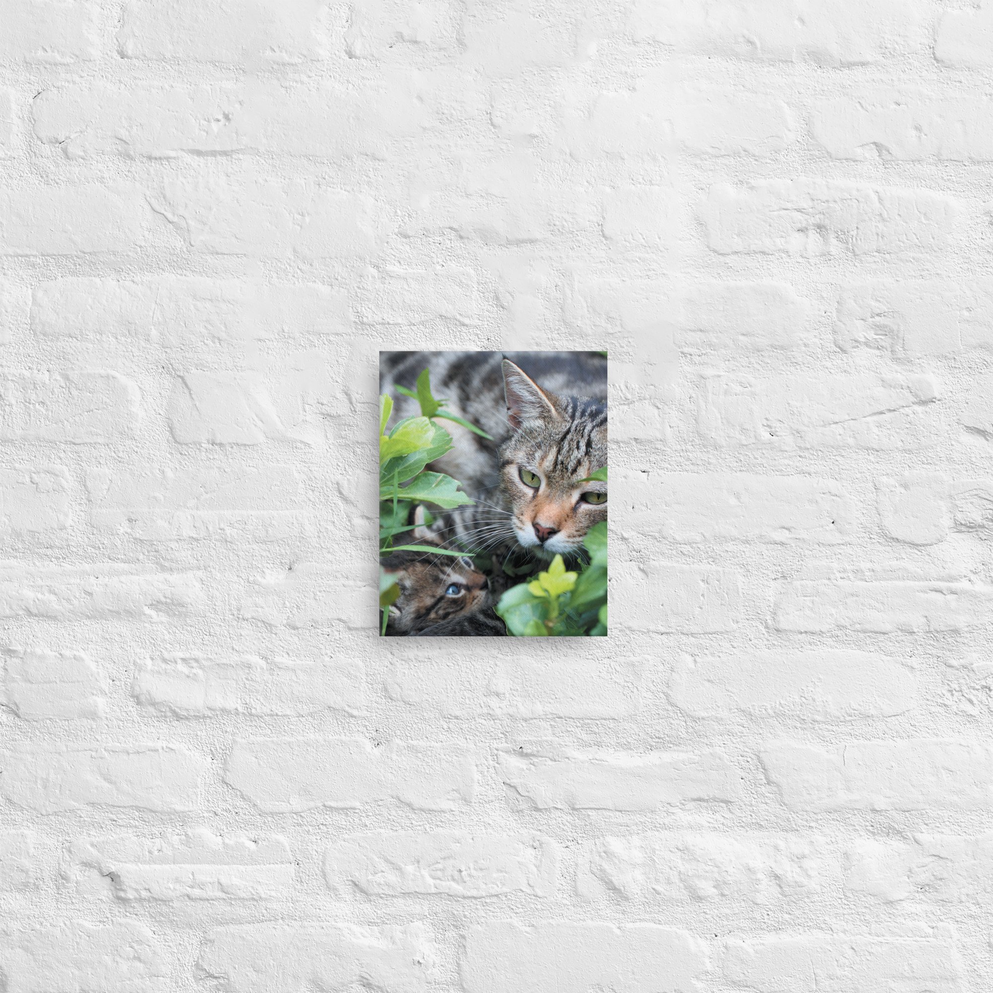 thin-canvas-(in)-8x10-front-66be4b9f8c433.jpg