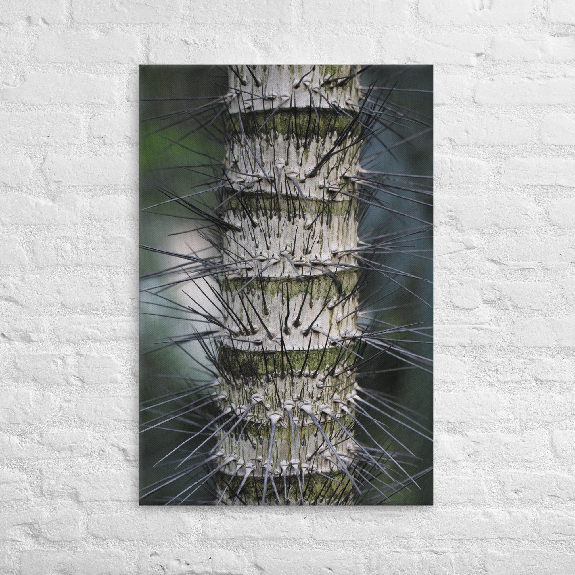 thin-canvas-(in)-24x36-front-66e0eb6191758.jpg