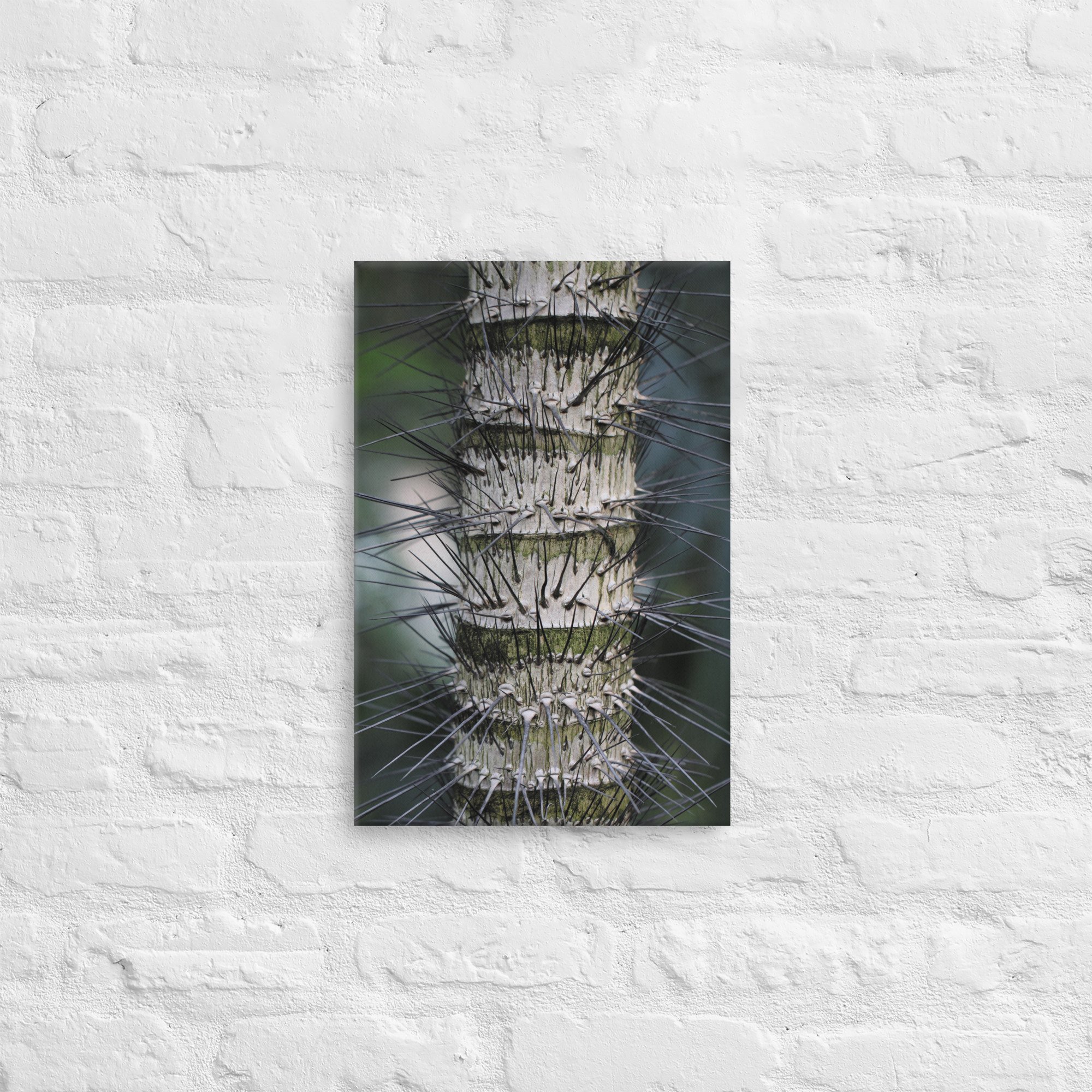 thin-canvas-(in)-12x18-front-66e0eb61918d4.jpg