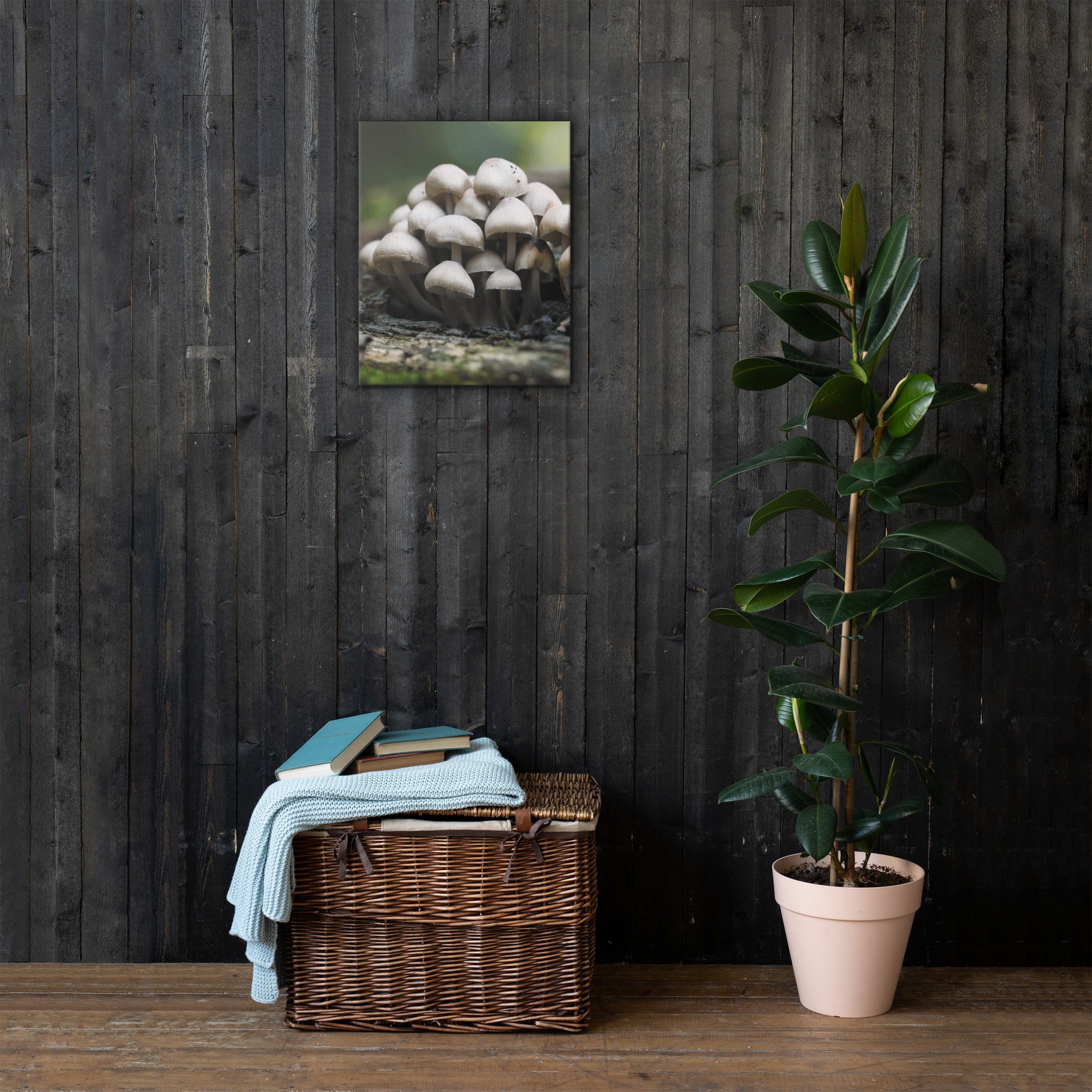 thin-canvas-(in)-16x20-front-66e25b7c96b2c.jpg