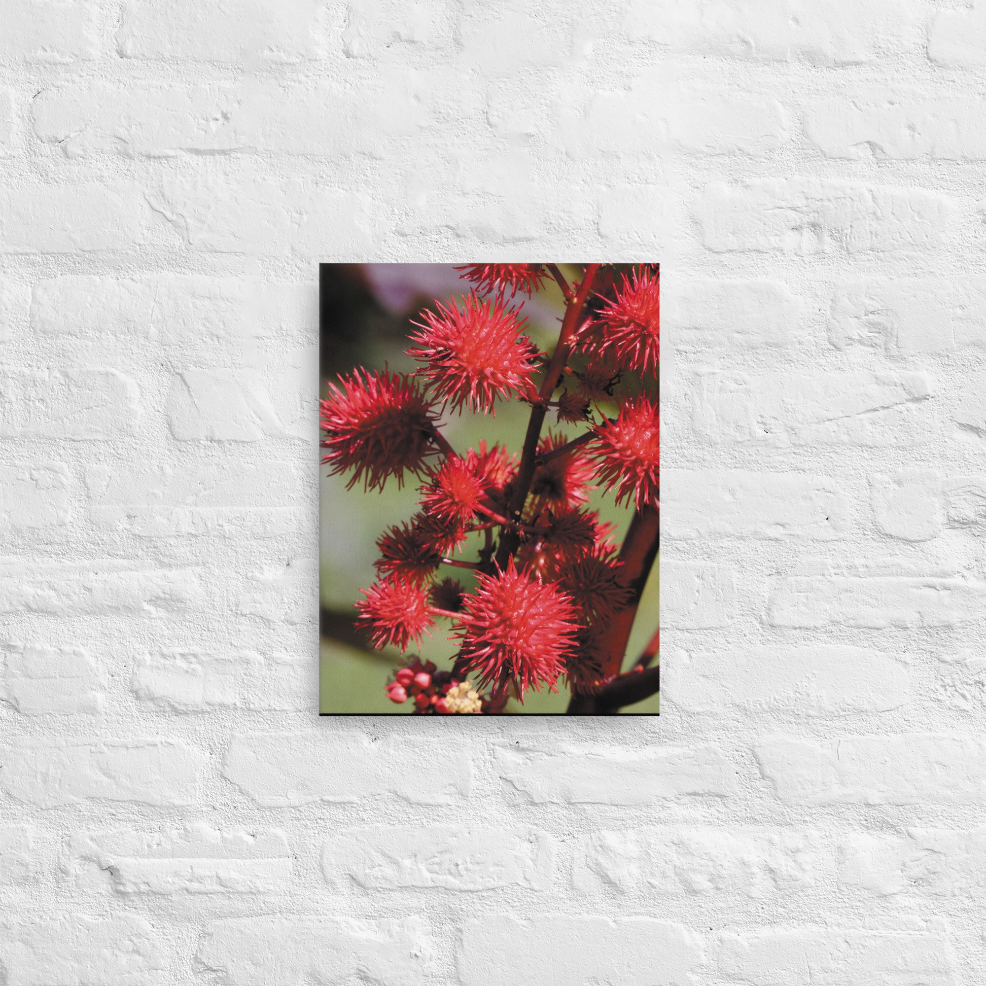 thin-canvas-(in)-12x16-front-66e2681513f5b.jpg